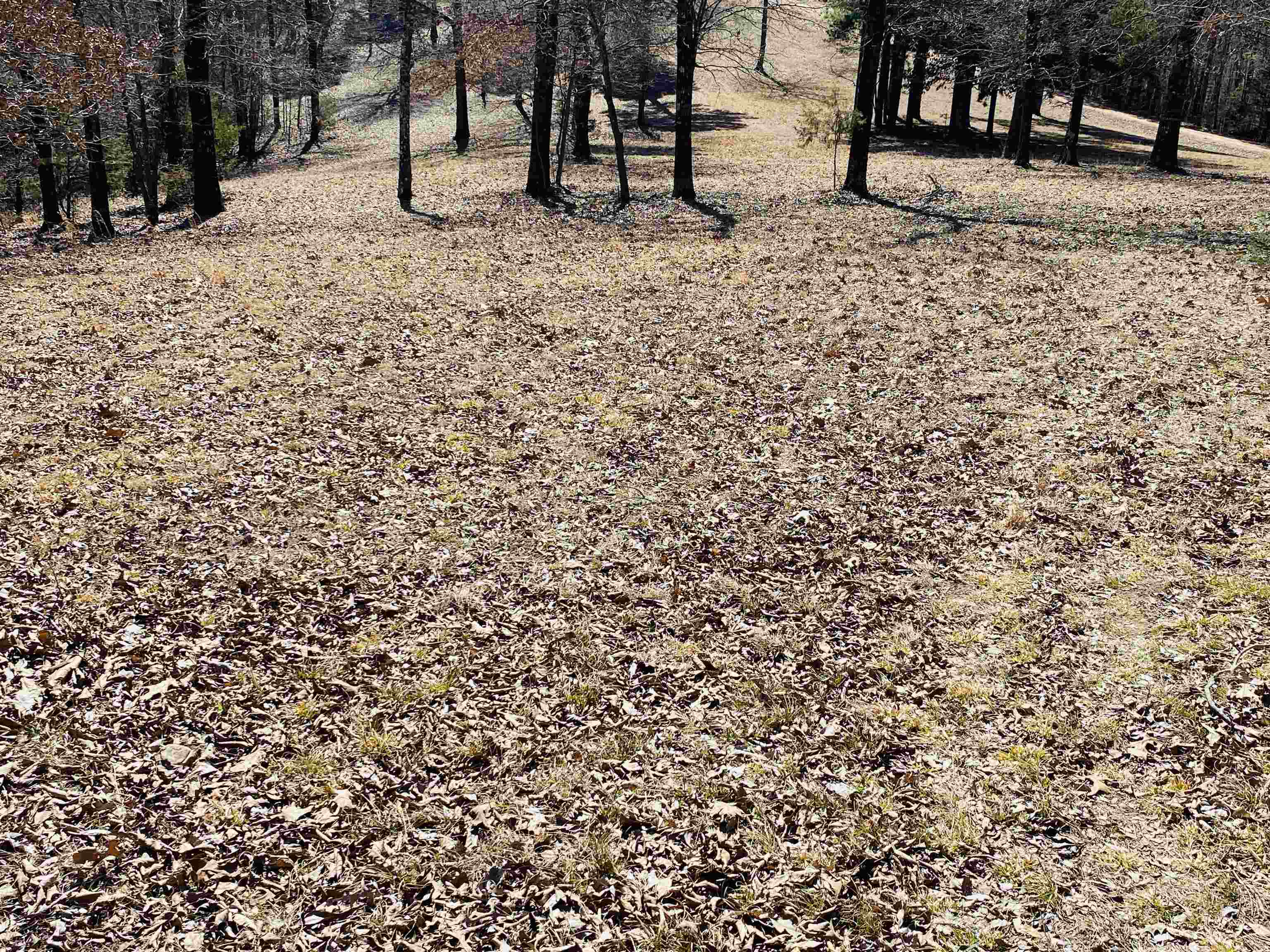 RIVER BEND RIDGE - Land