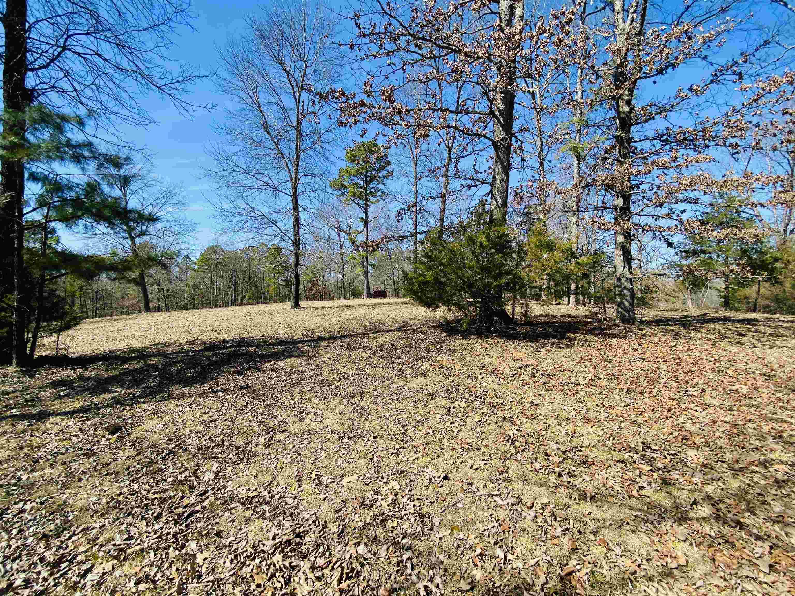 20.52 Acres with Stunning Ridge-Top Views Near White River & Lake Norfork! Discover 20.52 acres of prime land in the River Bend Ridge subdivision of Calico Rock, Arkansas, consisting of three lots (Lot 6, Lot 7, and Lot 8). Perched atop a ridge, this property offers breathtaking long-range views of the White River and features an excellent building site, perfect for your dream home, retirement retreat, or vacation cabin. It’s conveniently located near the White River and Norfork Lake, providing fantastic outdoor recreation, including fishing, boating, and more! Plus, it's just a short drive to Mountain Home, AR, for shopping, medical facilities, and entertainment. Don’t miss this incredible opportunity for only $95,500!