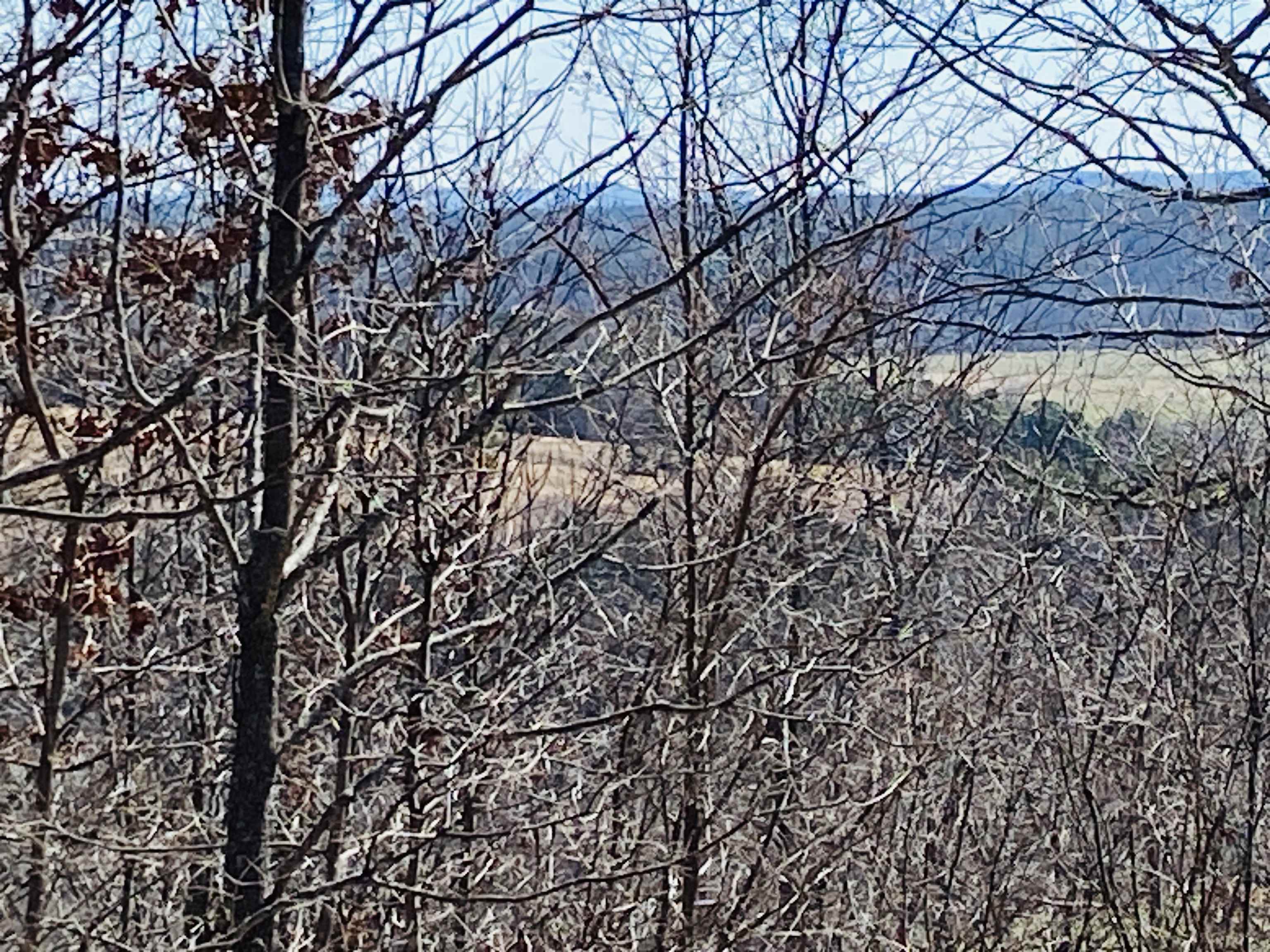 RIVER BEND RIDGE - Land