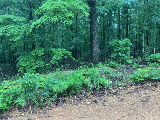 Excellent hunting land in Sharp County, Arkansas! This unrestricted property offers a natural shooting lane along the power line right-of-way, perfect for avid hunters. Enjoy the freedom to develop your dream hunting retreat or private getaway. Owner financing available with just $11,000 down. Don't miss this opportunity for prime recreational land!