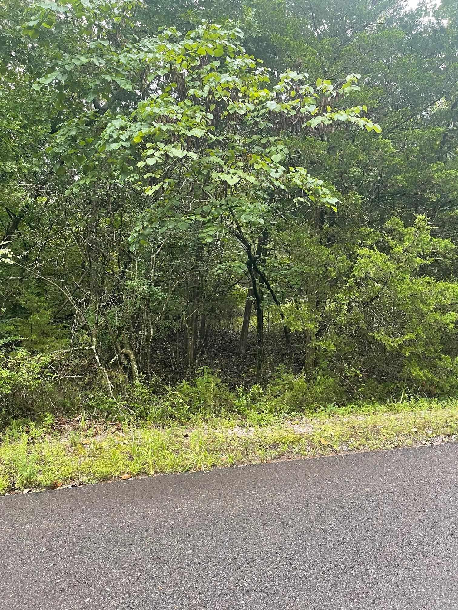 Beautiful buildable lot just minutes from the East Gate! Boasting 9 golf courses, 11 lakes including a white sand beach, 2 marinas, pickle ball courts, play ground, fine arts auditorium, and much more. Located in the Ouachita Mountains, Hot Springs Village is the largest gated community in the US.First time buyers will have a $300 fee made payable to the POA at closing.