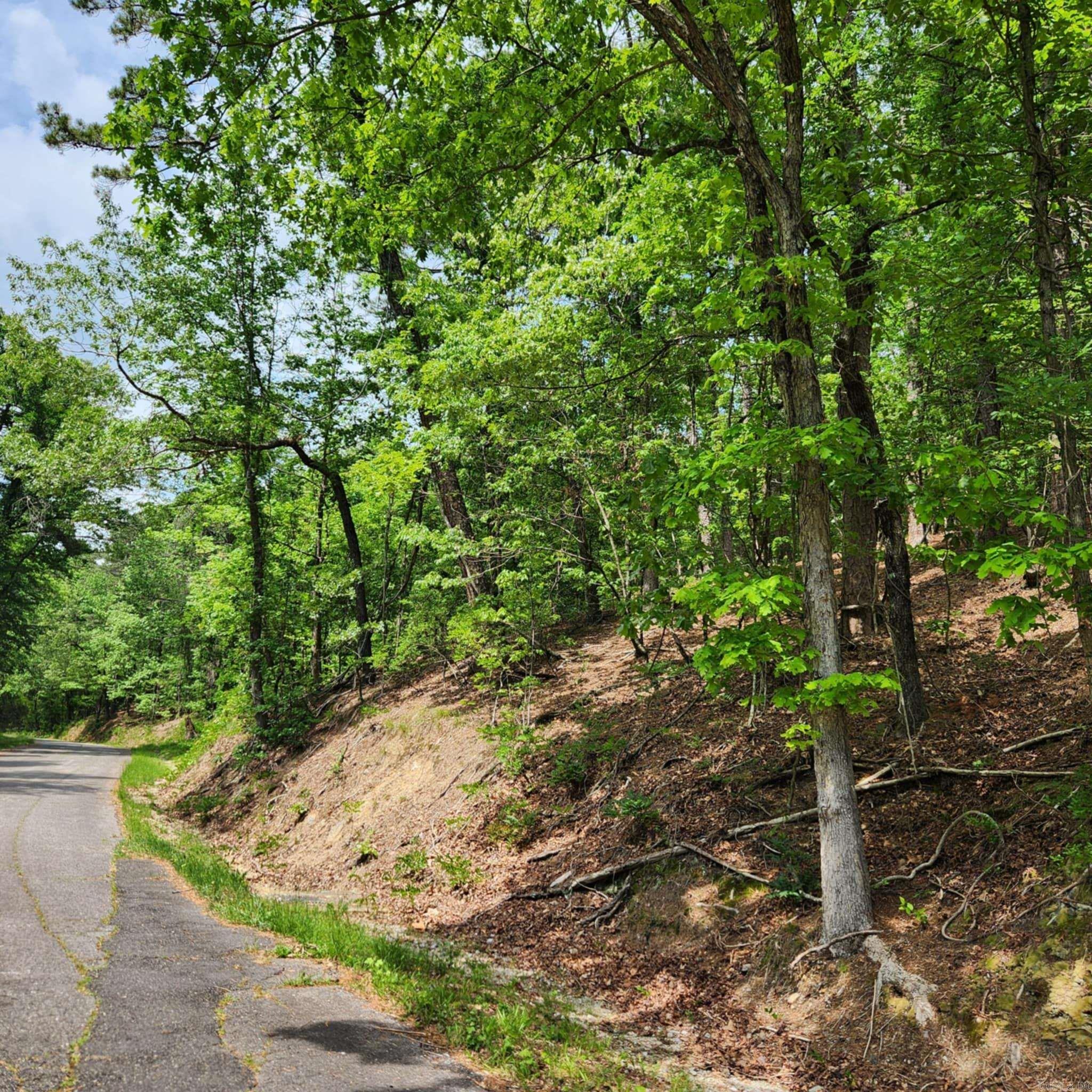 Property is wooded & sloped, on a low traffic paved street, with no close neighbors.