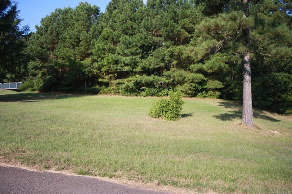 307 DOE RUN ST, NASHVILLE, AR 71852 - Image 796db5133da42e45b3a8f26fa0f4db00/1156550223