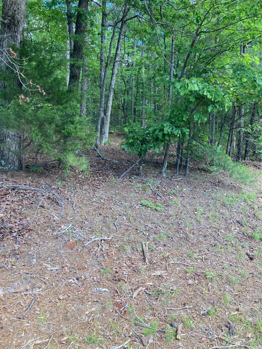 Prime location just before the Village Center of beautiful Fairfield Bay, Arkansas! This premium lot sits right on the main entrance road leading straight to the heart of town.  The busy Cobblestone Inn and Conference Center are a few steps away.  Currently zoned residential, with a future use plan of light industrial which could be office space and more.  See the attached list for more possibilities.  Fairfield Bay offers a plethora of amenities and is only a stone's throw from the breathtaking Greers Ferry Lake & full-service marina which is a haven for fishing enthusiasts, boating aficionados, or those who simply cherish waterside serenity. Fairfield Bay doesn't stop there; it boasts an array of facilities, including three swimming pools, two 18-hole golf courses, extensive hiking and biking paths, ATV/UTV trails, pickleball and tennis courts, and more. Whether it's outdoor excitement, a sociable tennis match, or a tranquil day poolside, Fairfield Bay caters to all. Surrounded by nature, but only 90 minutes to Little Rock, this could be the perfect location for your thriving business to begin.  Agents, please see remarks.  This parcel is also zoned residential if you prefer.