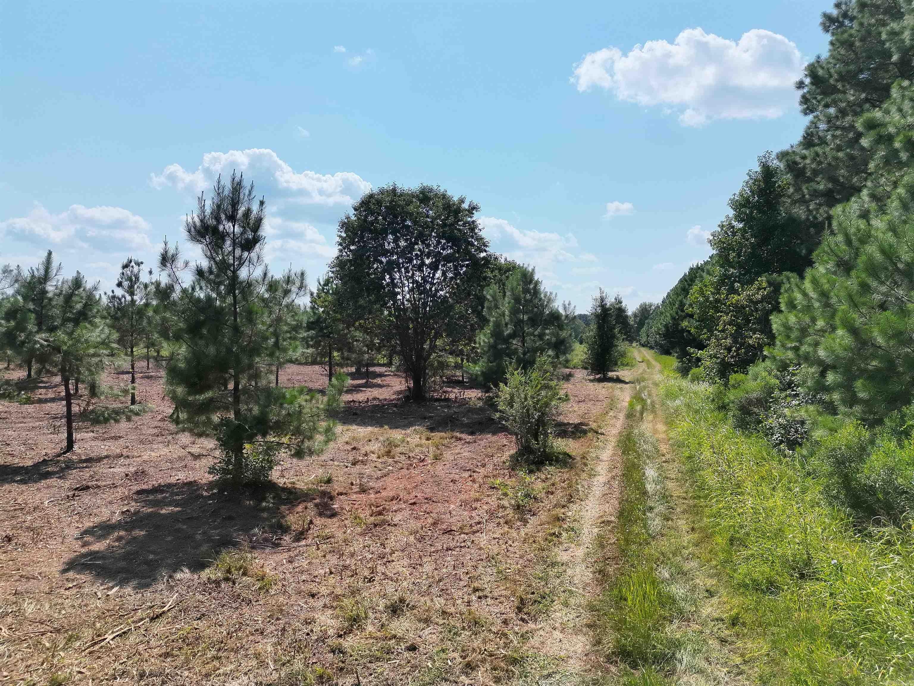 Not in Subdivision - Land