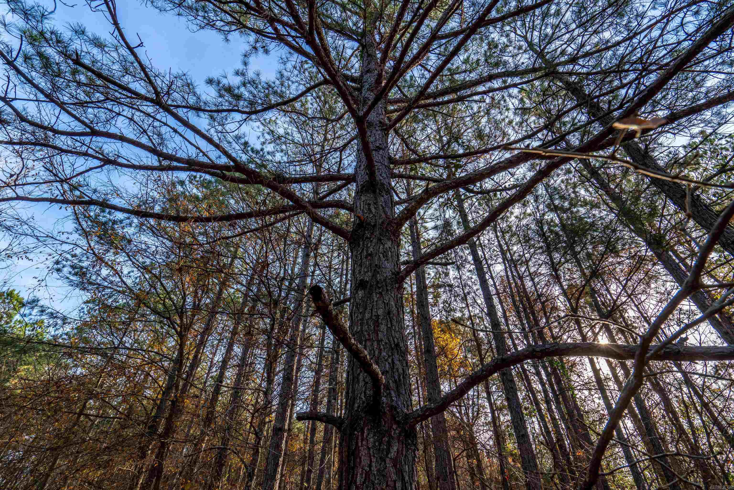 Stoneridge Pointe - Land