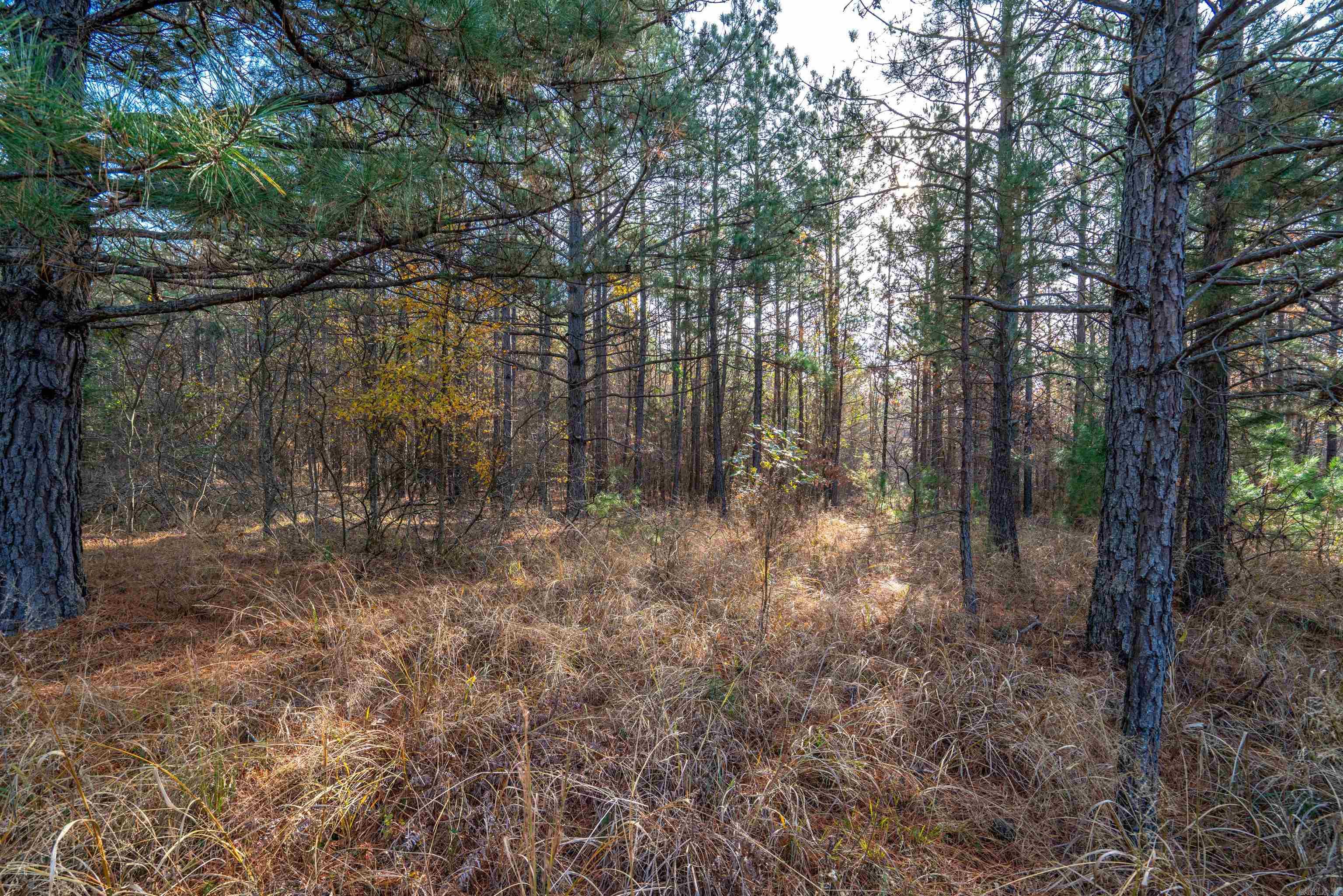 Stoneridge Pointe - Land