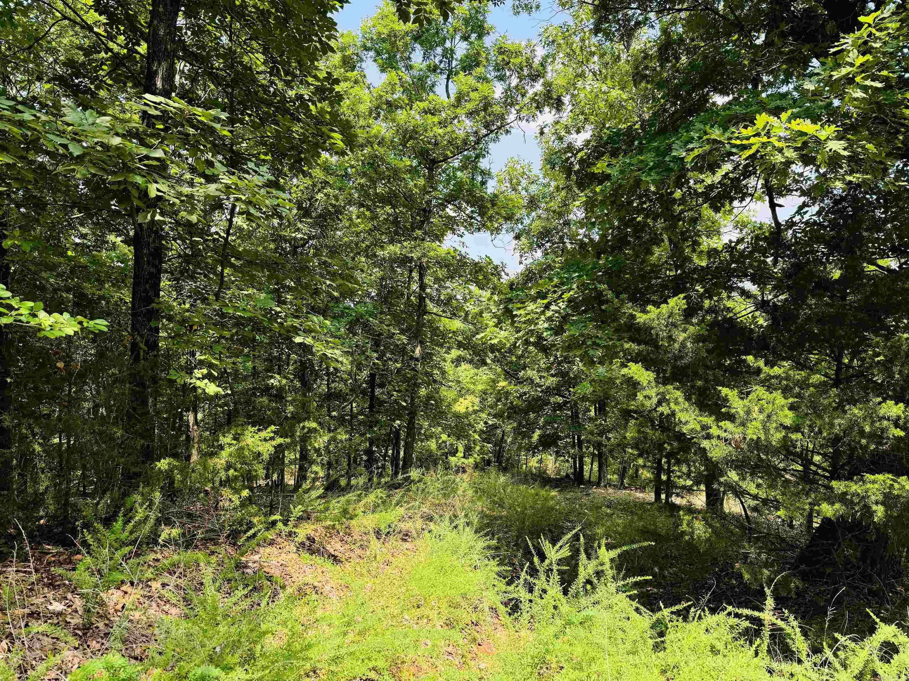 Metes & Bounds - Land