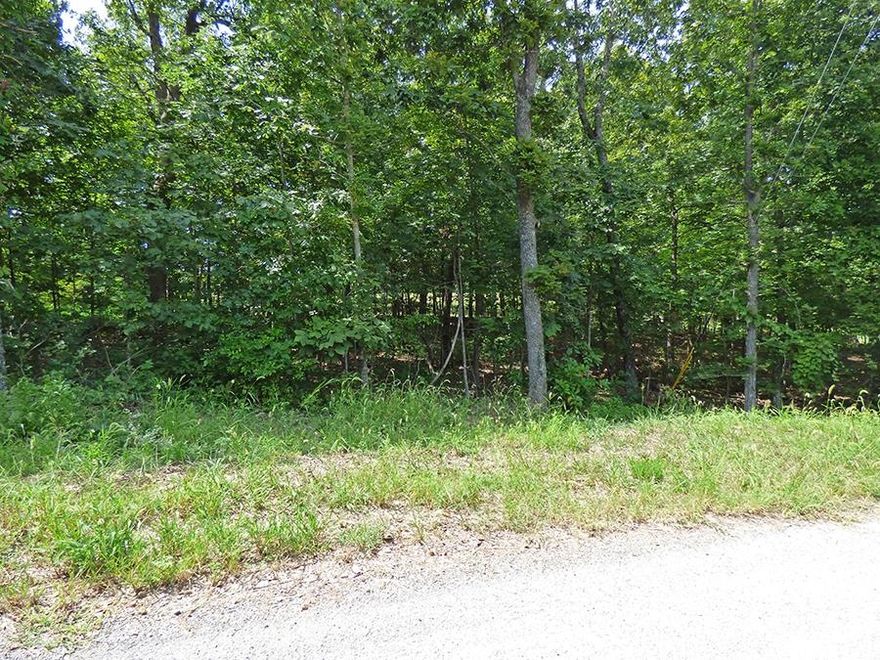 South Golf Course Lot on #17 Fairway. This lot is close to #17 Tee Box so you could step right out your back door and start playing. Build your dream home or a smaller vacation/weekend home that could also be a perfect income producing nightly rental.