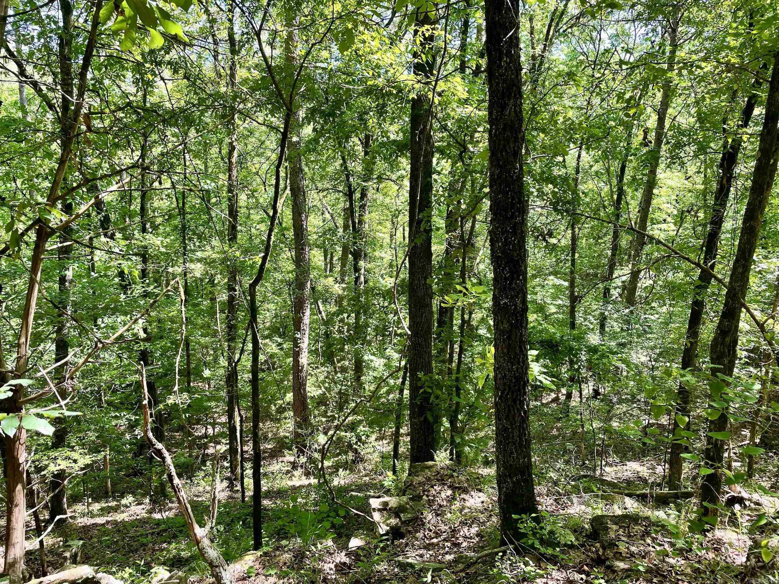 Not in Subdivision - Land