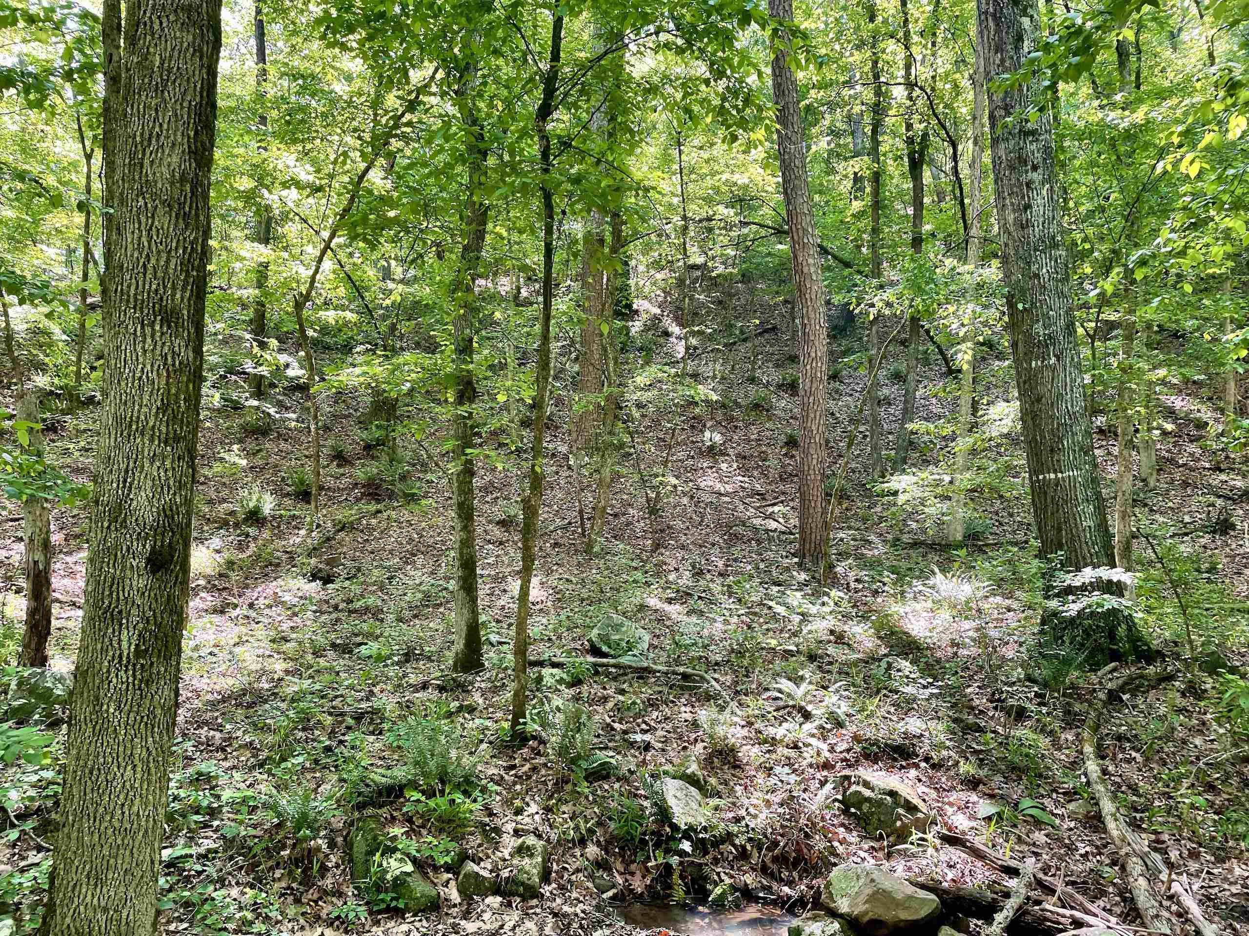 Not in Subdivision - Land