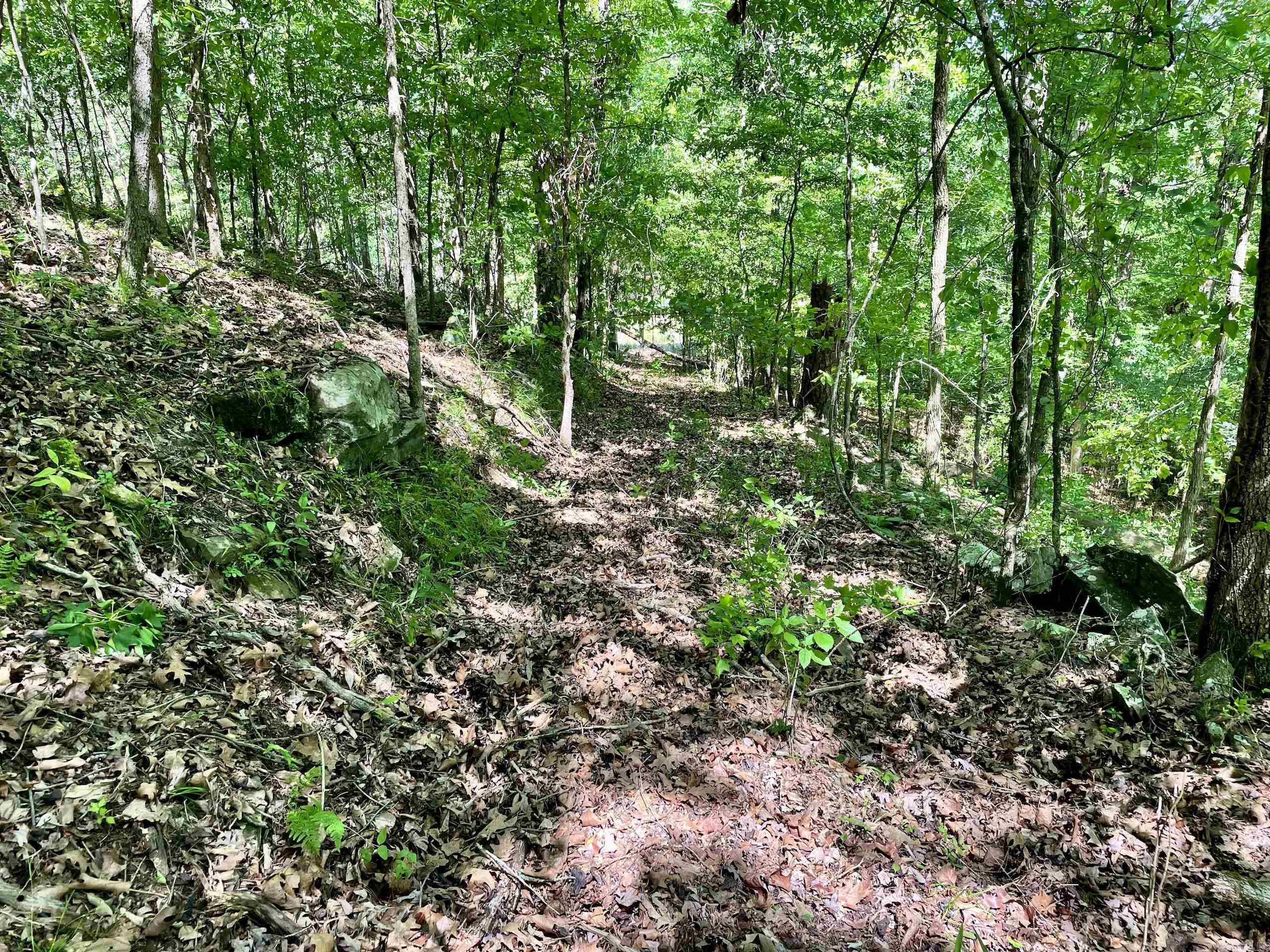 Not in Subdivision - Land