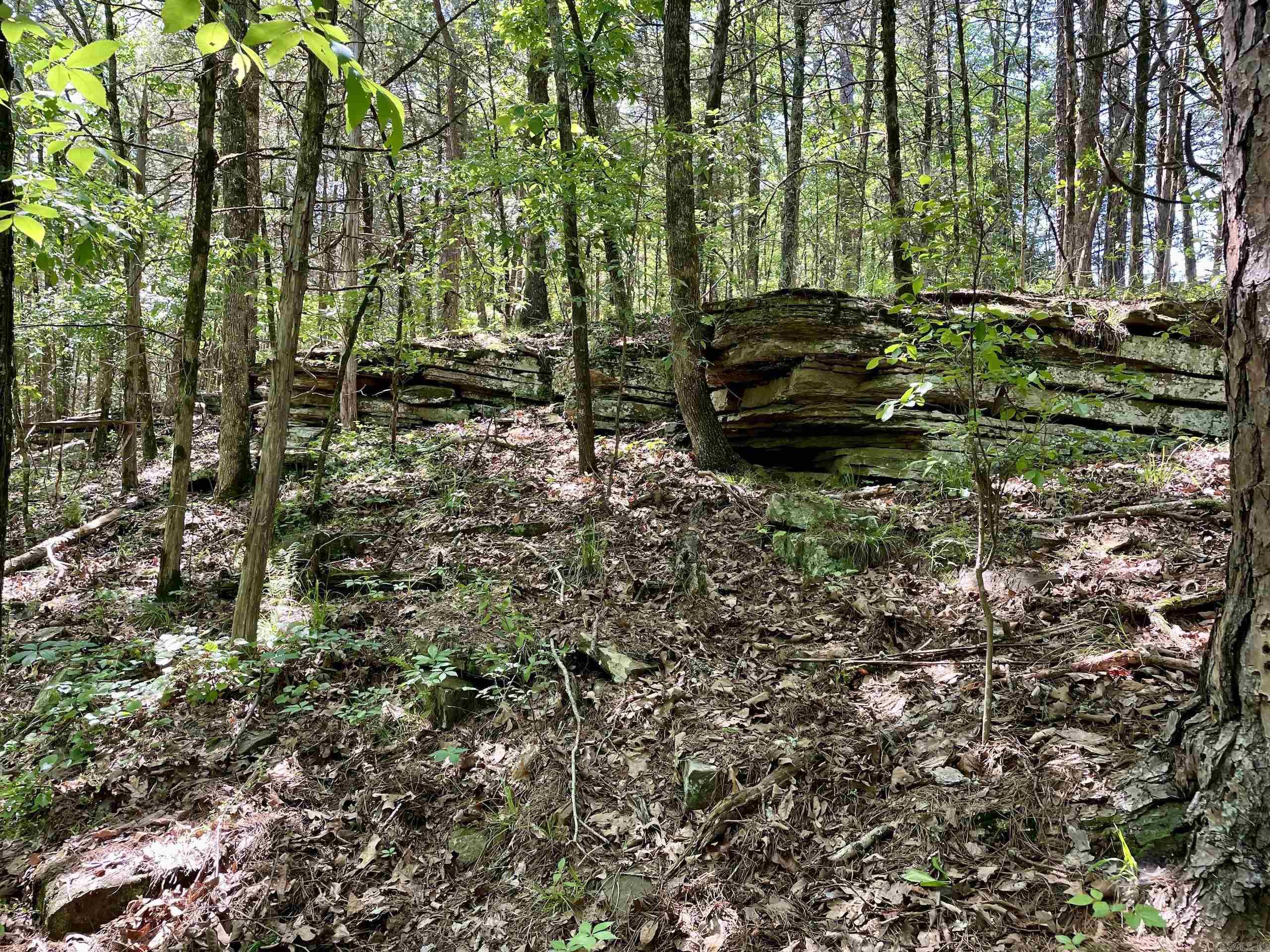 Not in Subdivision - Land