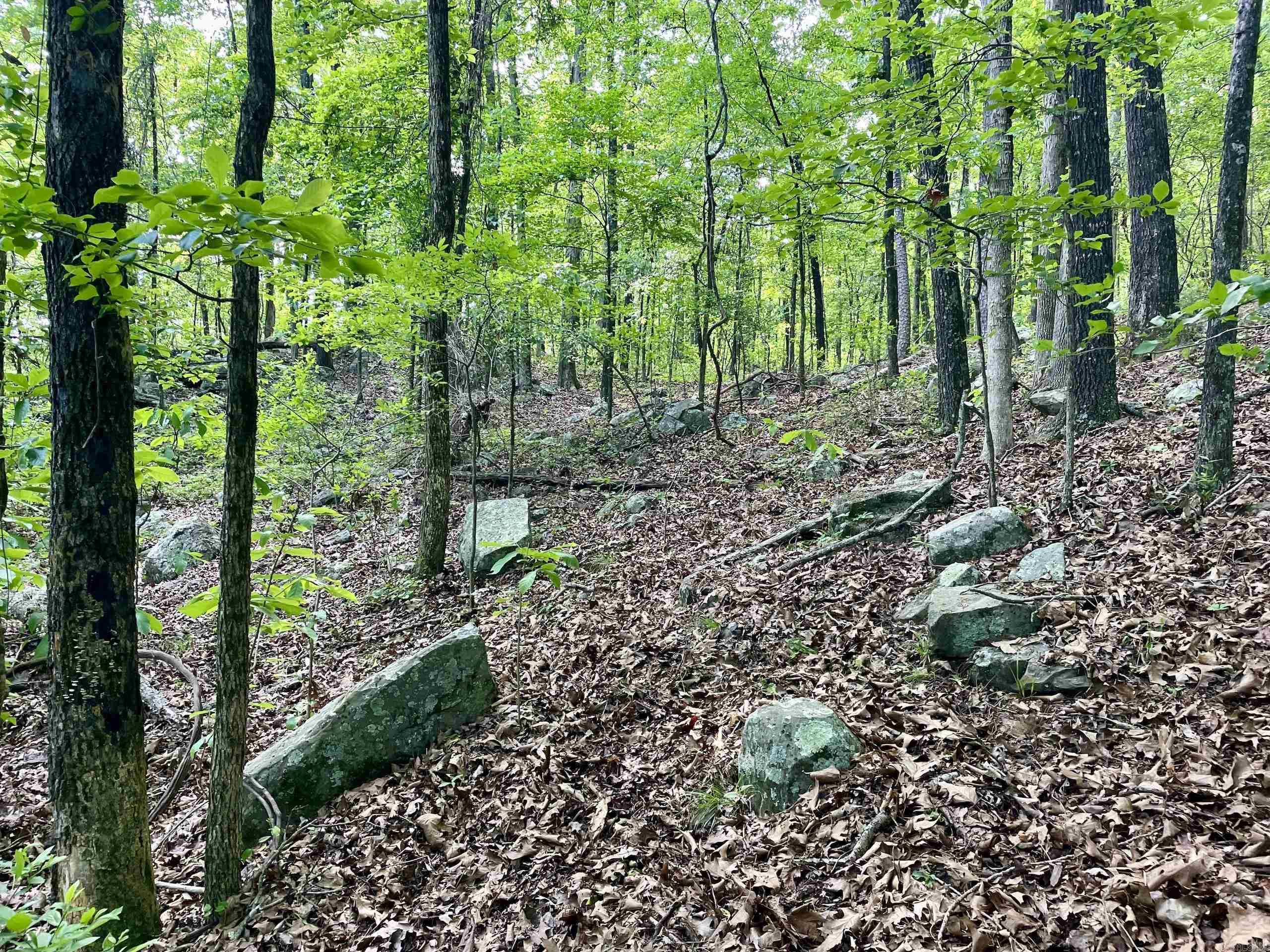 Not in Subdivision - Land