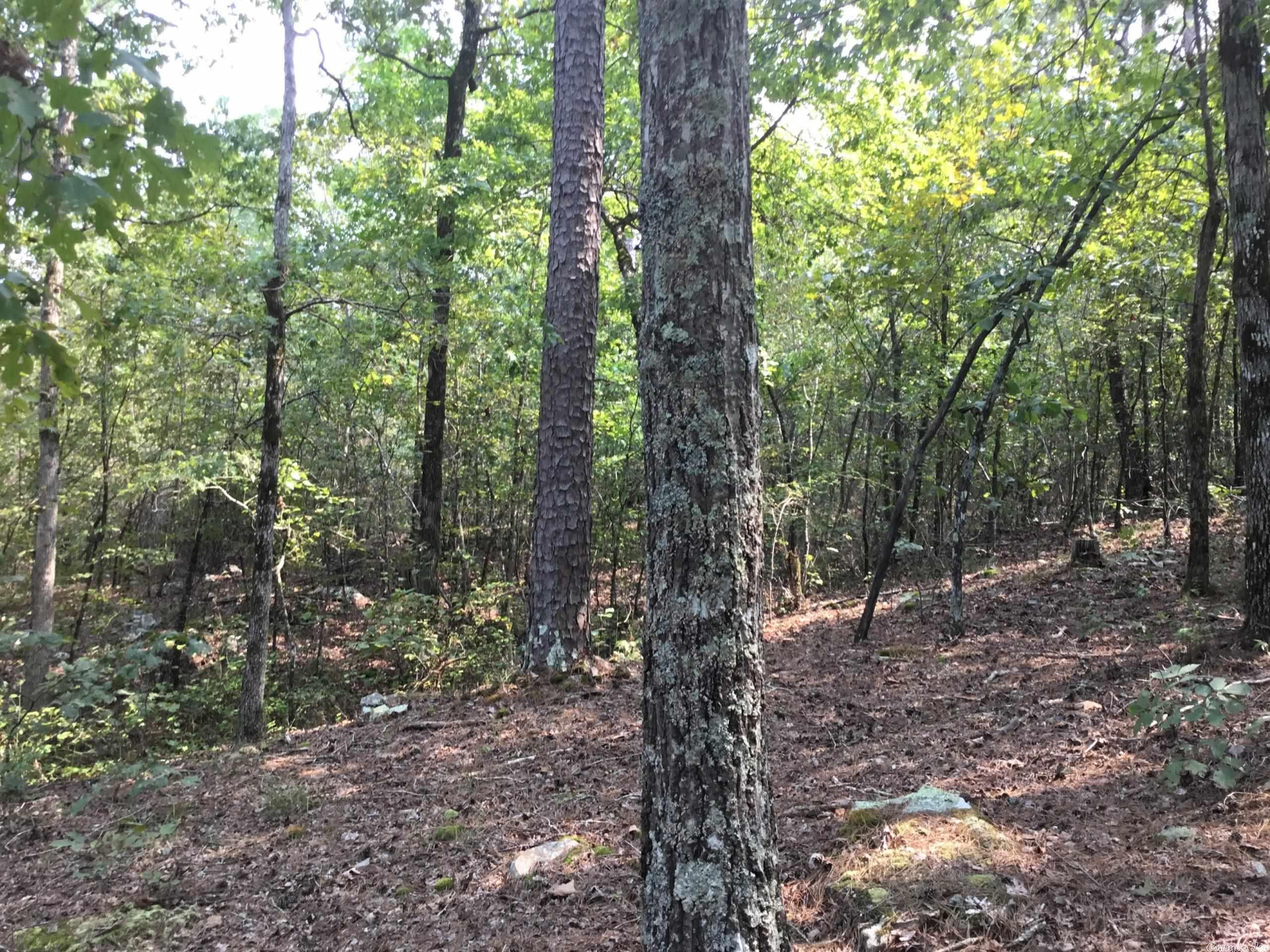 West Little Rock - Land