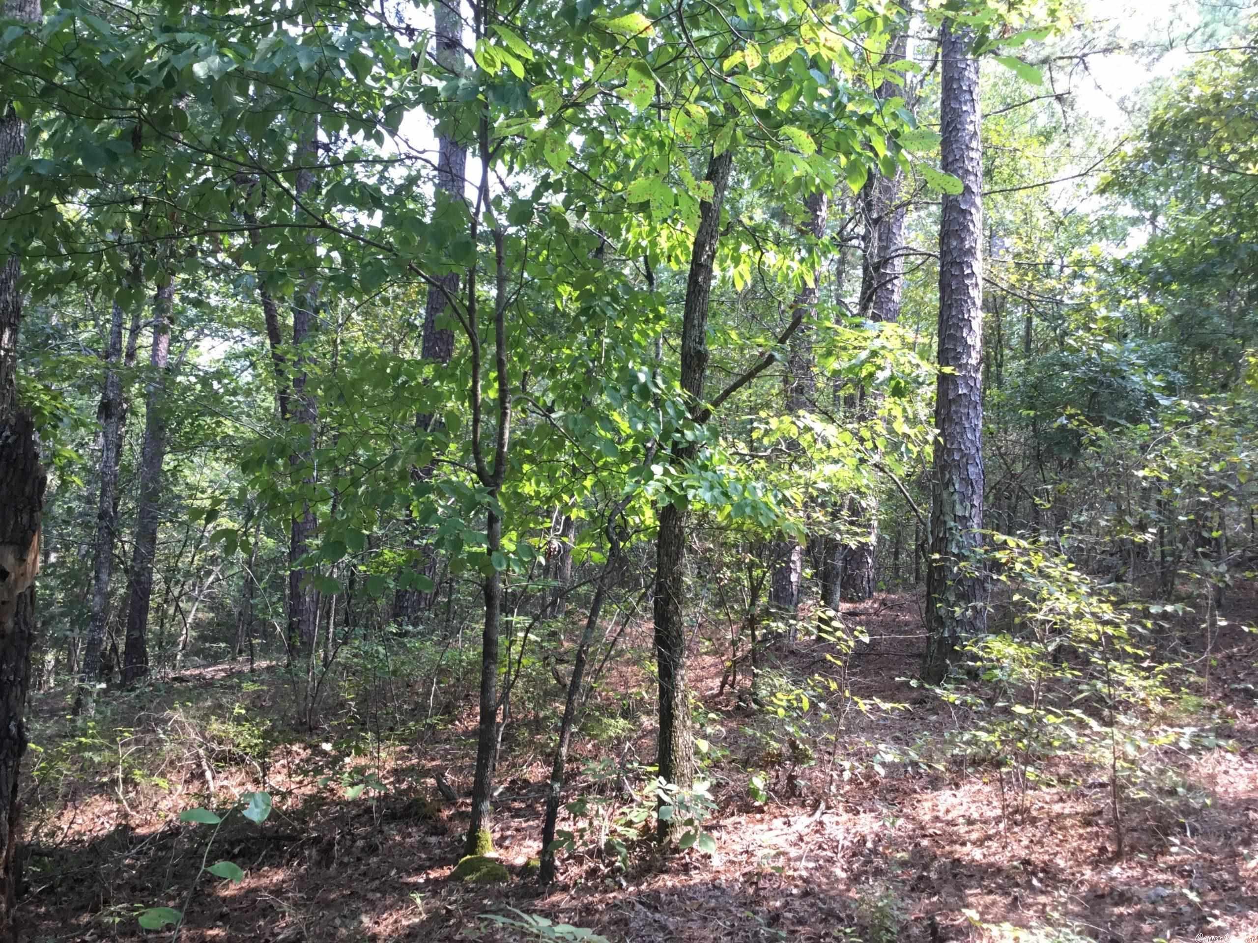 West Little Rock - Land