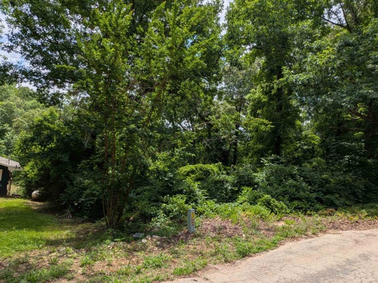 LAKESIDE DR, WILLIFORD, AR 72482 - Image 79d101d12d31b2bb7dcdb4ea6c5918b4/1135583983
