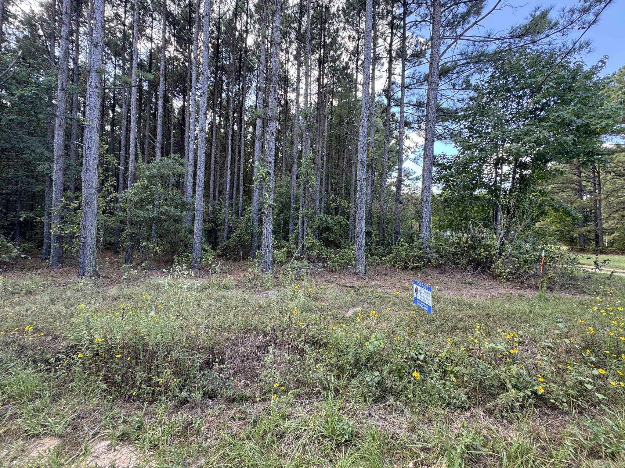 Pine Grove - Land