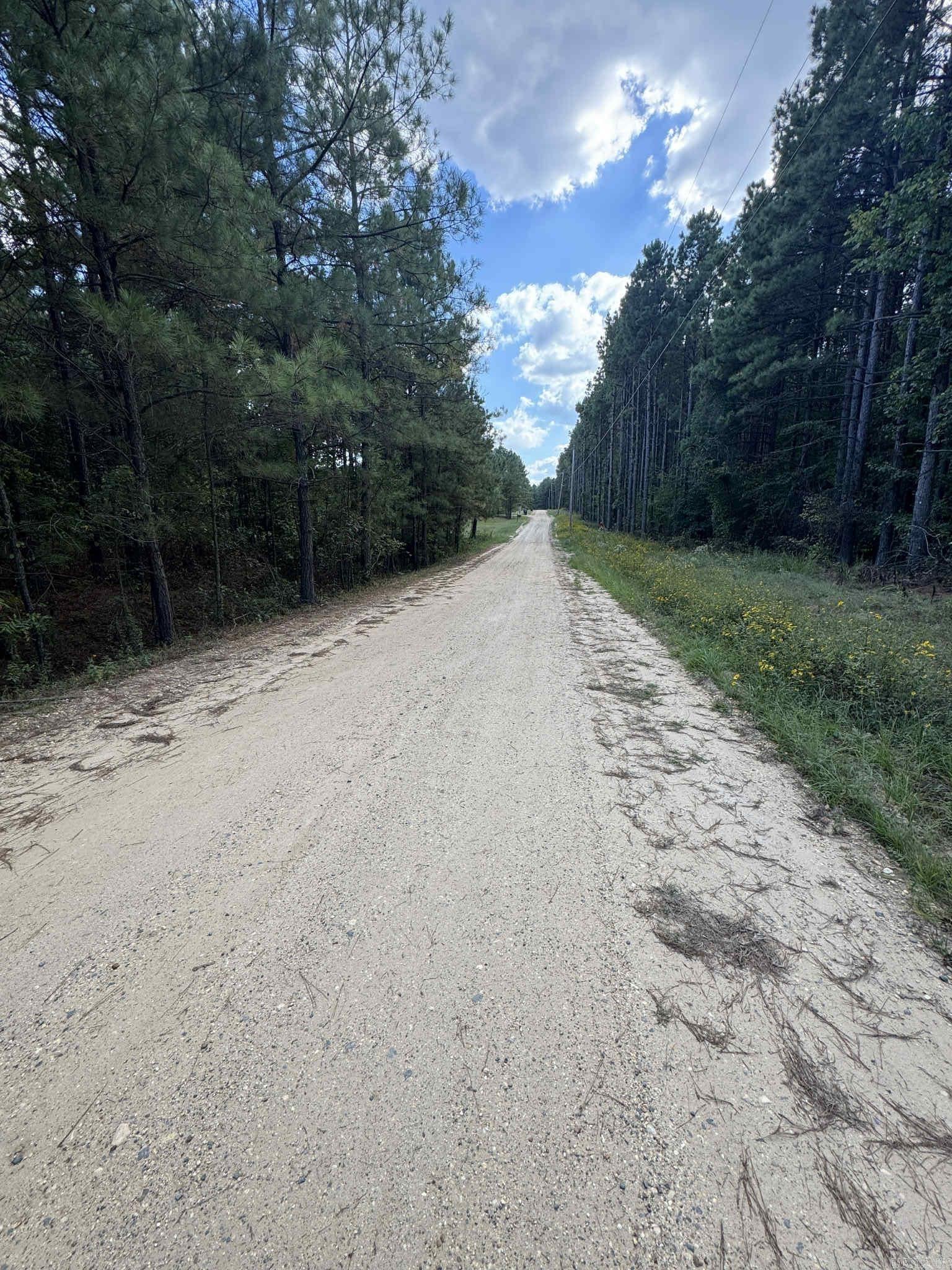 Pine Grove - Land