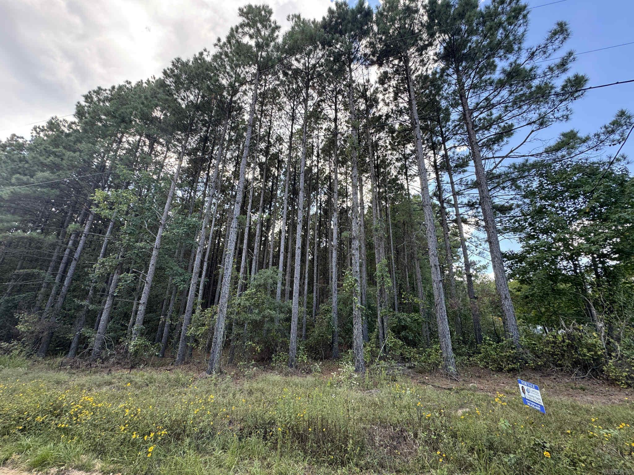 Pine Grove - Land