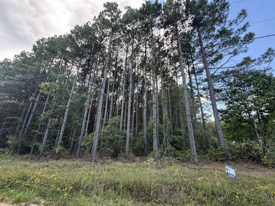 Imagine your own private retreat just minutes from town. This property offers the perfect setting to build your dream home or a peaceful weekend escape. Enjoy the privacy and tranquility today’s buyers desire. Don’t miss the chance to make this rare parcel your own.