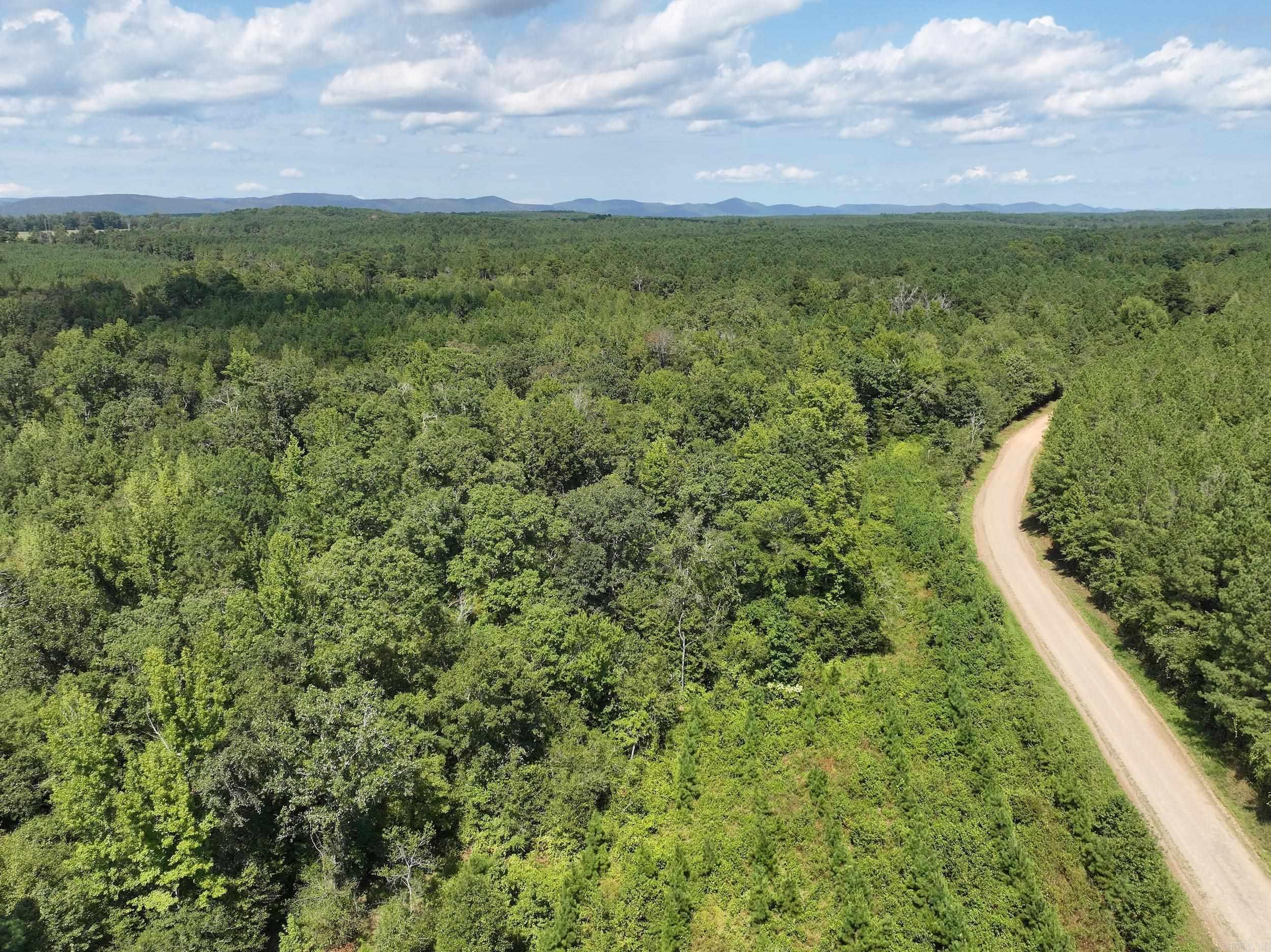 This 44± acre parcel near Dierks Lake offers a unique opportunity to own a secluded retreat with a rich mix of hardwood and pine timber, making it both a picturesque landscape and a valuable investment. Nestled with two wet weather creeks, the property is a haven for wildlife and outdoor enthusiasts. Its prime location provides the perfect backdrop for a private cabin or retreat, where you can enjoy the tranquility of nature while remaining close to the recreational opportunities at Dierks Lake. This land offers the ideal blend of seclusion, natural beauty, and investment potential. Property can be purchased with more acreage. See MLS# 24030406. A new survey will be needed to know exact acreage.