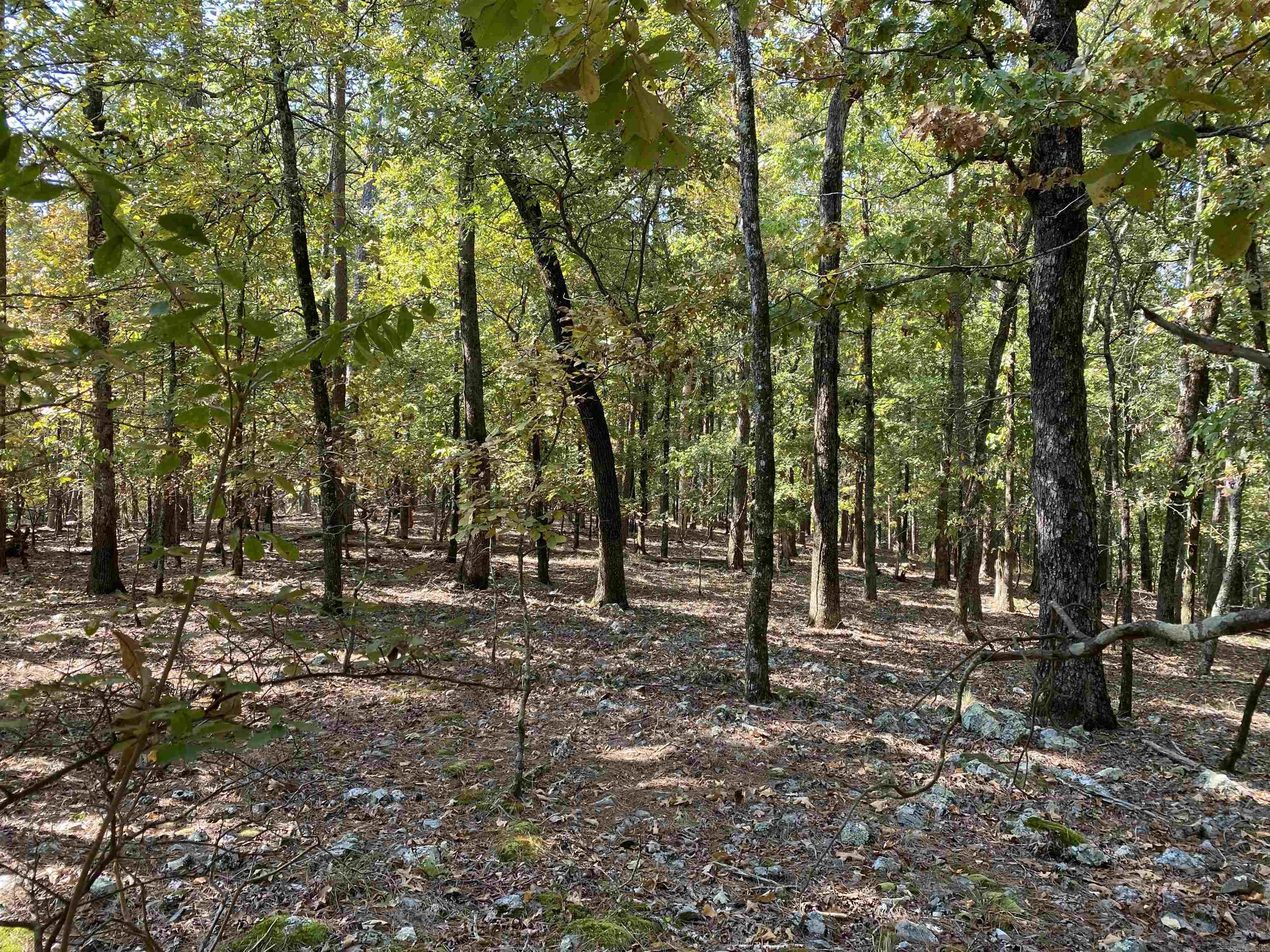Hickory Nut Mountain Estates - Land