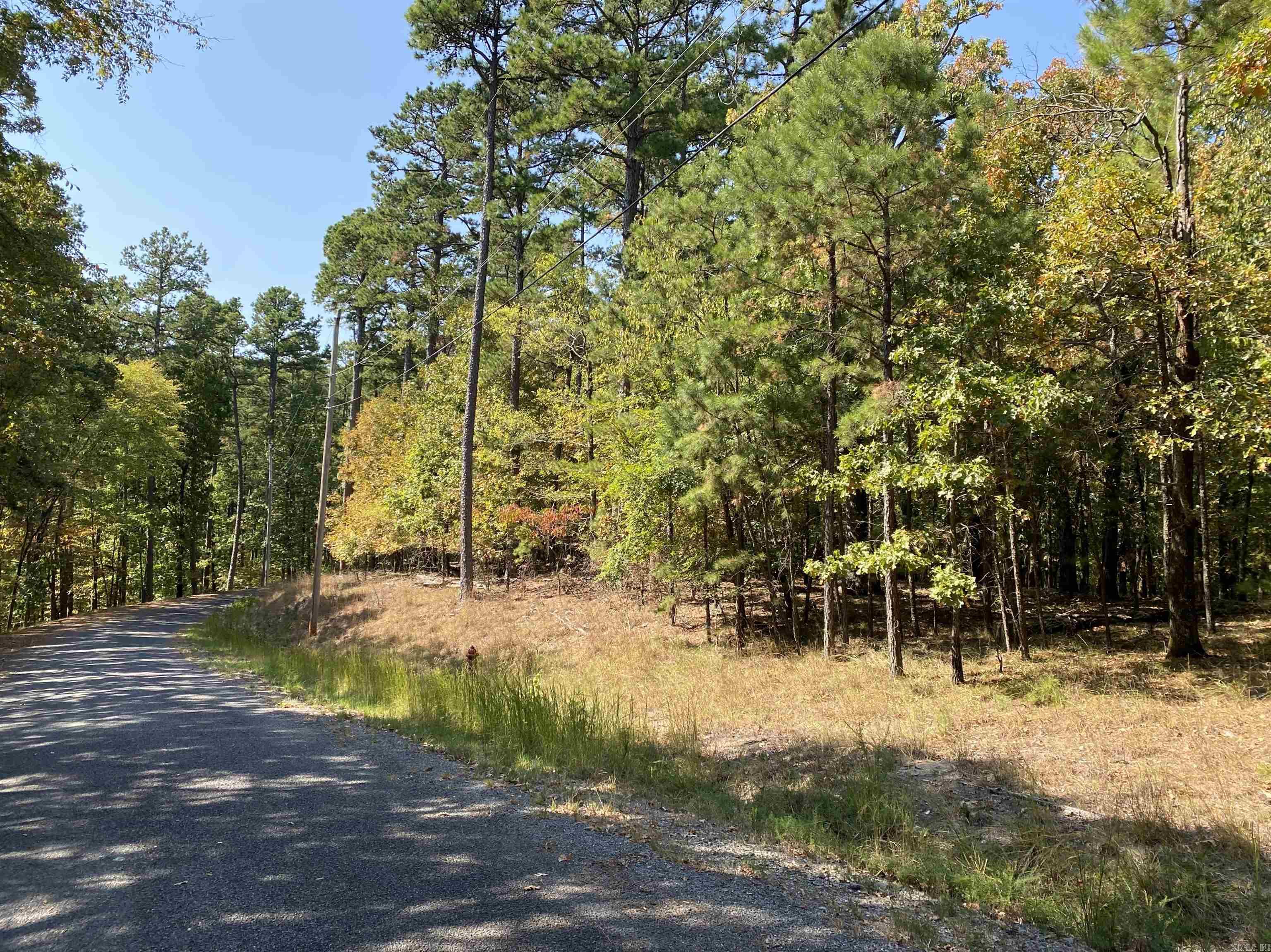 Hickory Nut Mountain Estates - Land