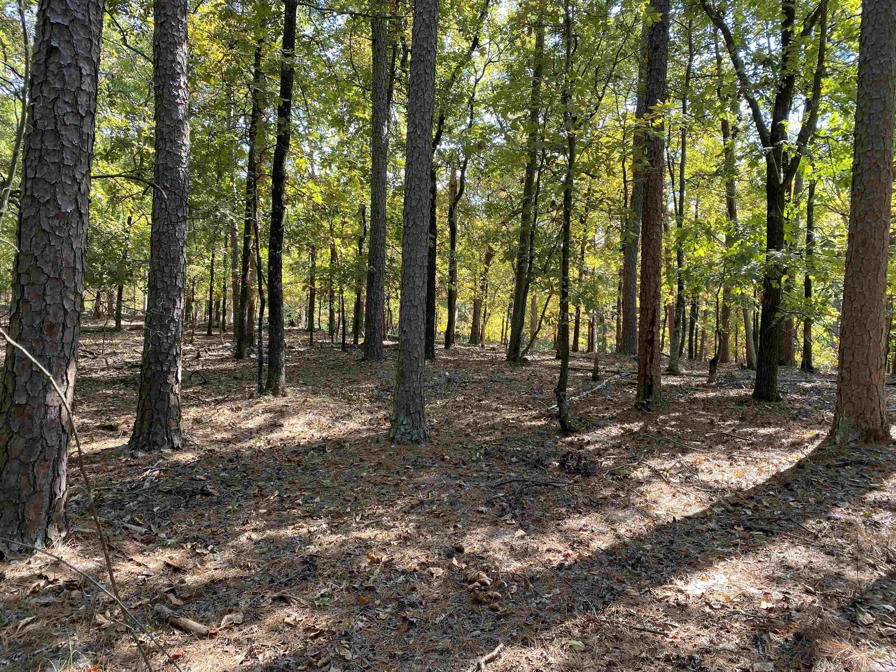 Hickory Nut Mountain Estates - Land