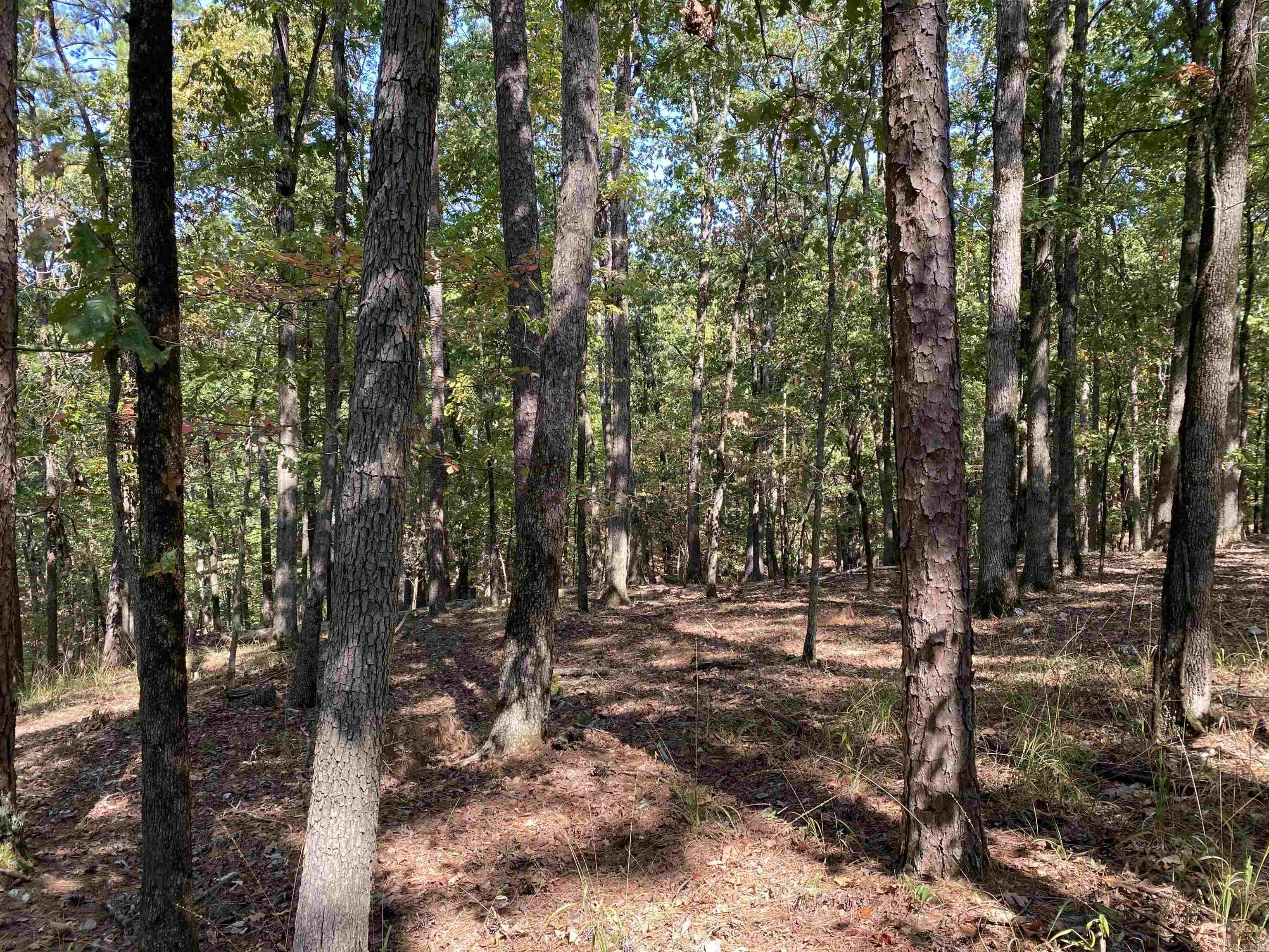 Hickory Nut Mountain Estates - Land