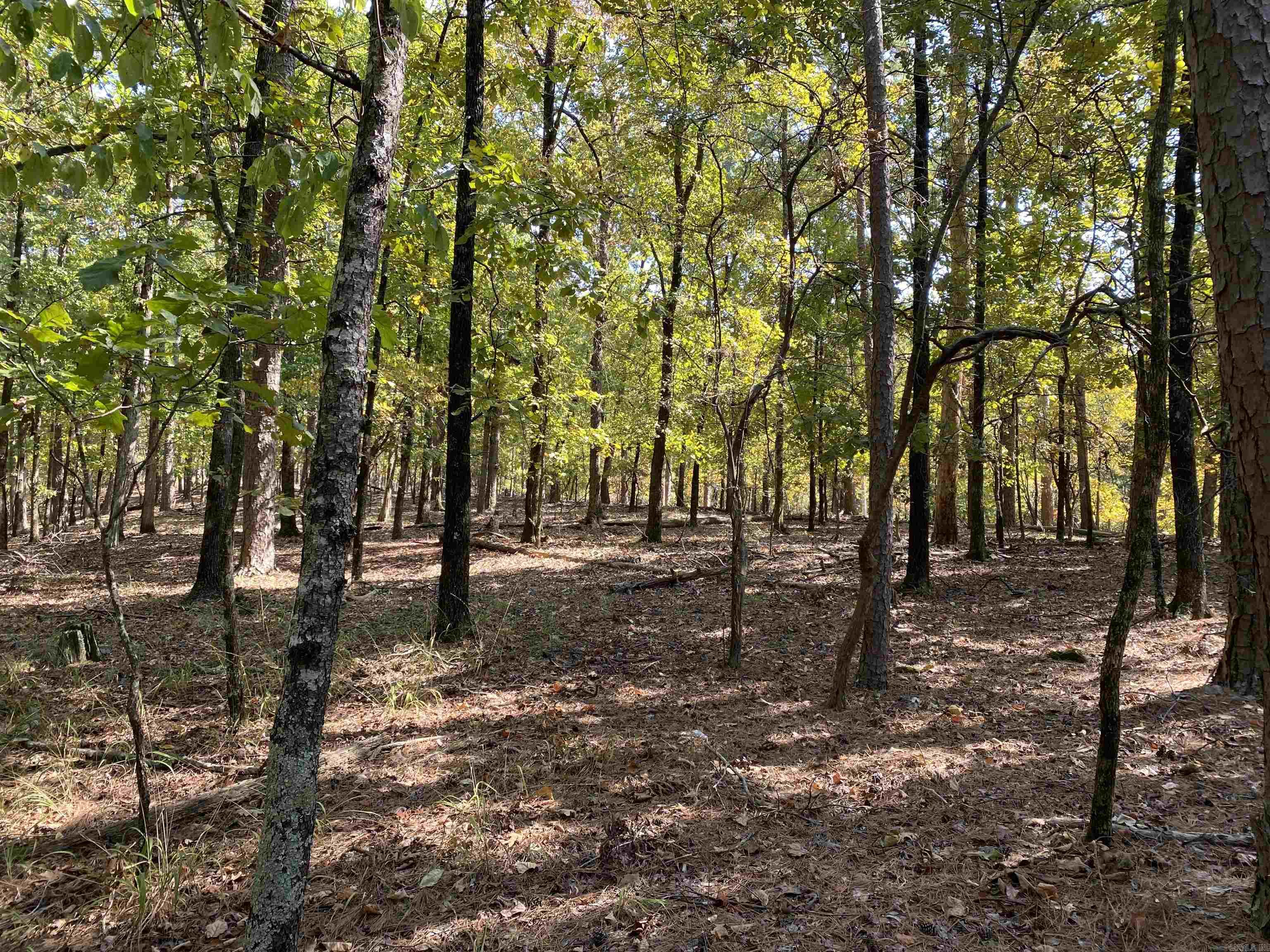 Hickory Nut Mountain Estates - Land