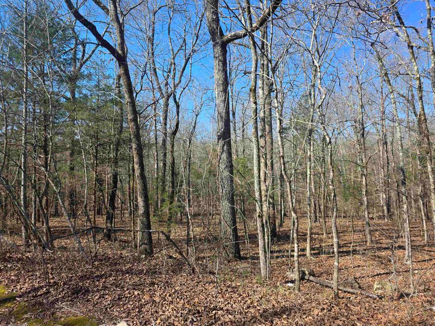 Wonderful and wooded lot in the heart of Cherokee Village. Secluded and away from it all. But close to a main road for quick exits from the Village for shopping, dining and entertainment. Lots of trees and lots of wildlife as well as a wet weather creek at the very back of the lot. Buy this lot and pick your spot to build your dream home or just a getaway cabin. With ownership of this lot, you will have access to all the amenities of Cherokee Village such as the 7 lakes and Two 18-hole golf courses also the Thunderbird Center and swimming pool, mini golf, parks, hiking trails and don't forget about the beautiful Southfork River for fishing, kayaking or just floating down to wet your toes. This is a wonderful lot to purchase and plan for your future home. Call to purchase this one. This lot can be purchased in a package deal with 4 other lots. All side by side. That's 5 lots in total for great seclusion and privacy.