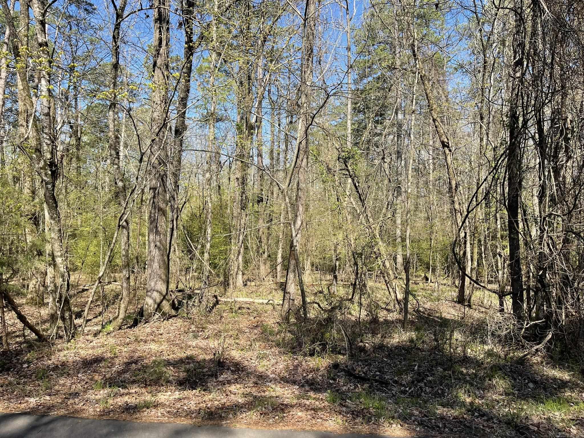 Build your dream home in beautiful Hot Springs Village. This lot is located a short drive from Lake Cortez boat launch and pavilion. (shown in pictures) HSV has so many amenities to offer including golf, tennis, pickleball, fitness center, indoor and outdoor pools, lakes and beaches, boat rental, dog park and so much more. It is a lifestyle, not just a place to live!