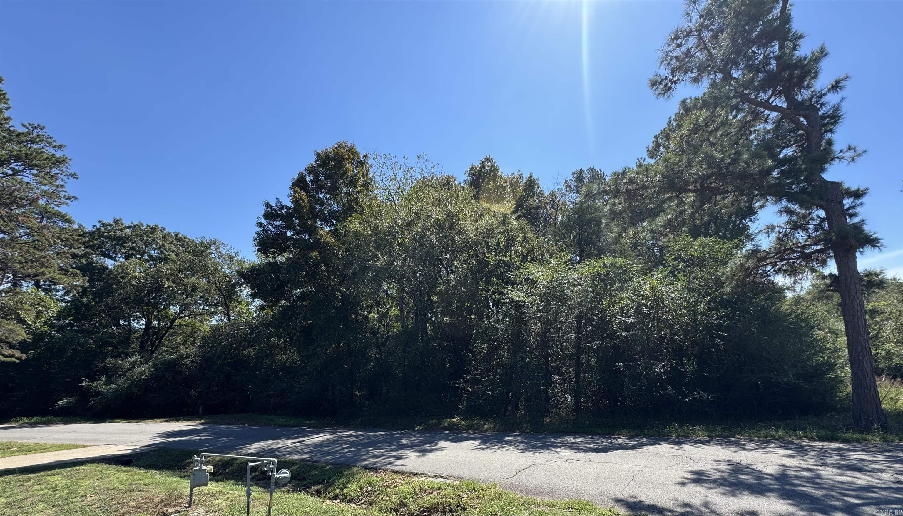 Imagine building your dream home on your own private oasis in the heart of Heber Springs! With almost 3 acres of gorgeous hardwood trees on a beautiful level lot, this property can offer just that! The Sulphur Creek riding/walking trail is located at the back of the lot, providing a serene path to go on a relaxing walk or a bicycle ride through the woods. Greers Ferry lake and the Little Red River are just a few minutes away, along with shopping and dining! This property won’t last long!