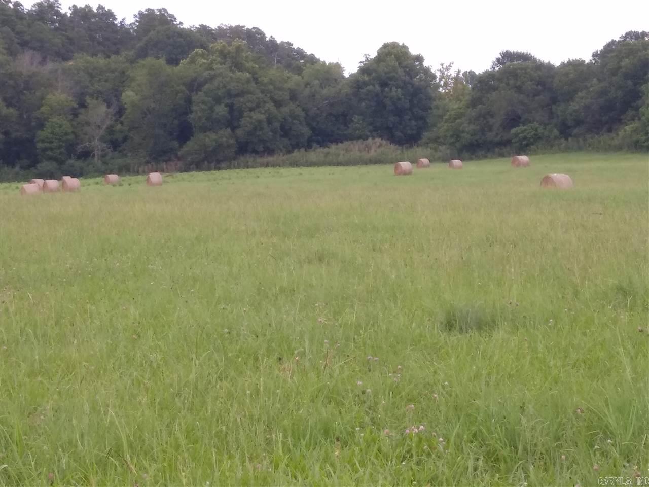 Pine Ridge - Farm