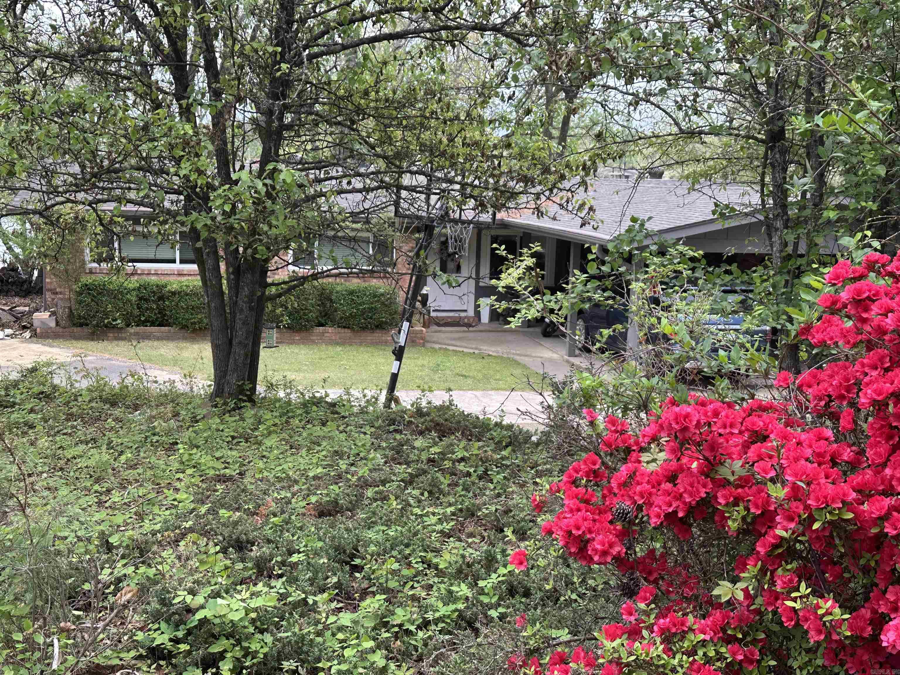 Little - Residential