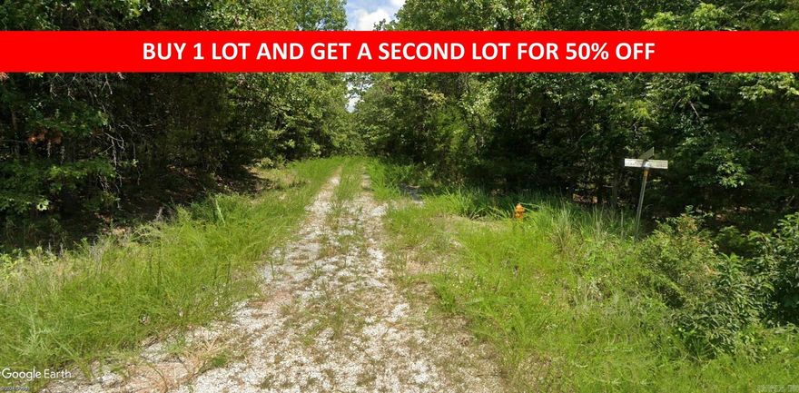 Buy one lot and get 50% off an additional lot! Owner-finance for easy terms. Cash buyers can pay by debit or credit card as well. Nice lot to develop or hold for future value. Public water and electric are available to run to property and will need septic. Owner/agent. No mobiles allowed. 300-2500 minimum build size on any other type of home, depending on subdivision. Finance is 5 months at $194 and closing costs are included. Lots marked with red banner are part of promotion. No limit on lots. Buyer responsible for any/all taxes and lots sold "as-is". Quit claim deed conveys. Parcel ID# 165-12565-000