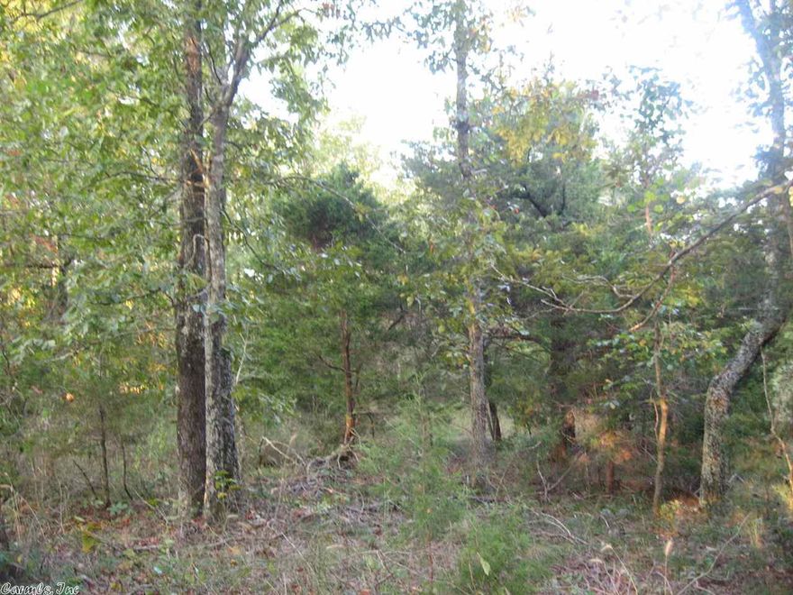 This 5 acre tract is mostly wooded with an easement through it. It has highway frontage and large mature trees. Mineral rights do not convey.