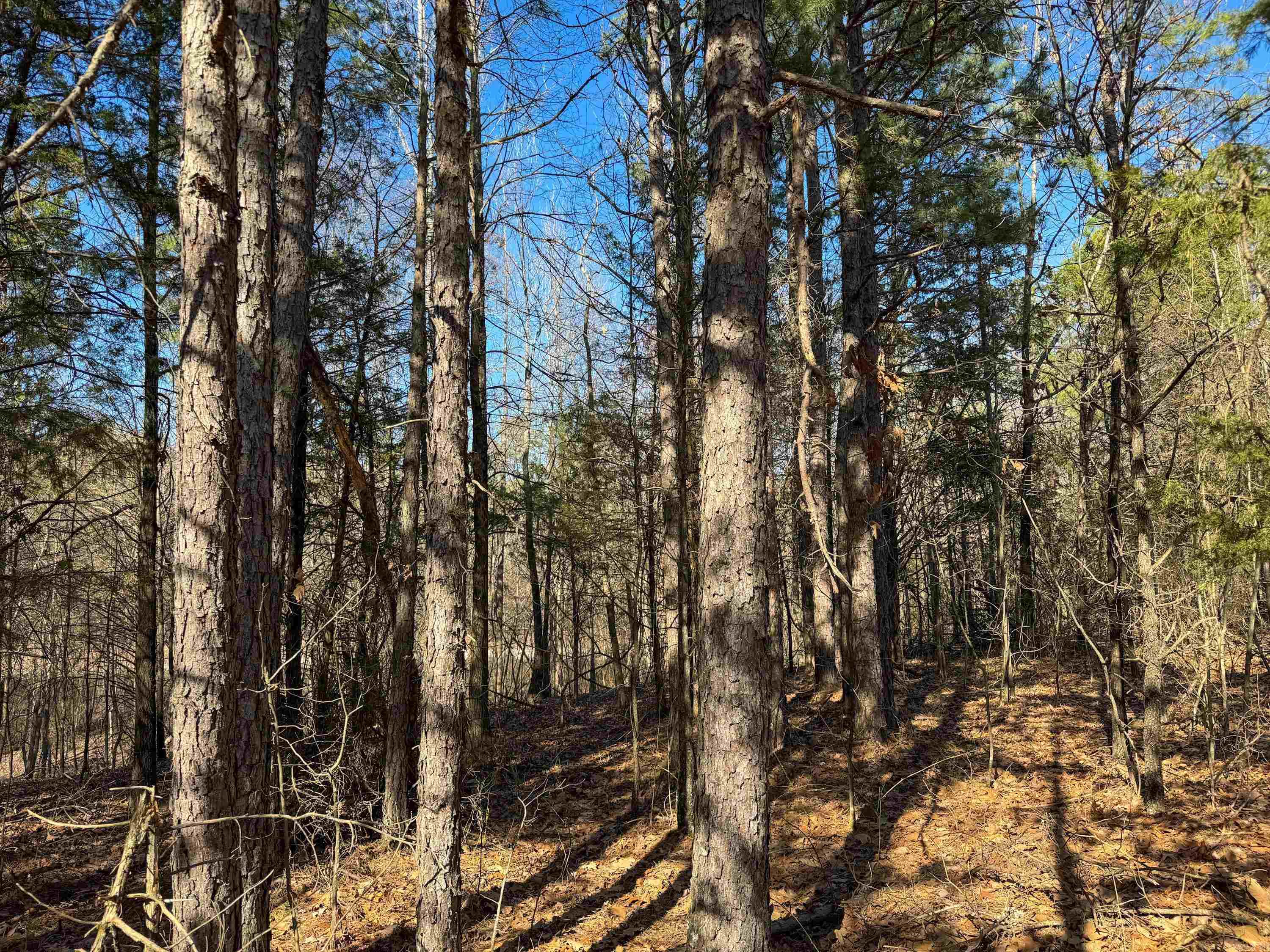 Metes & Bounds - Land