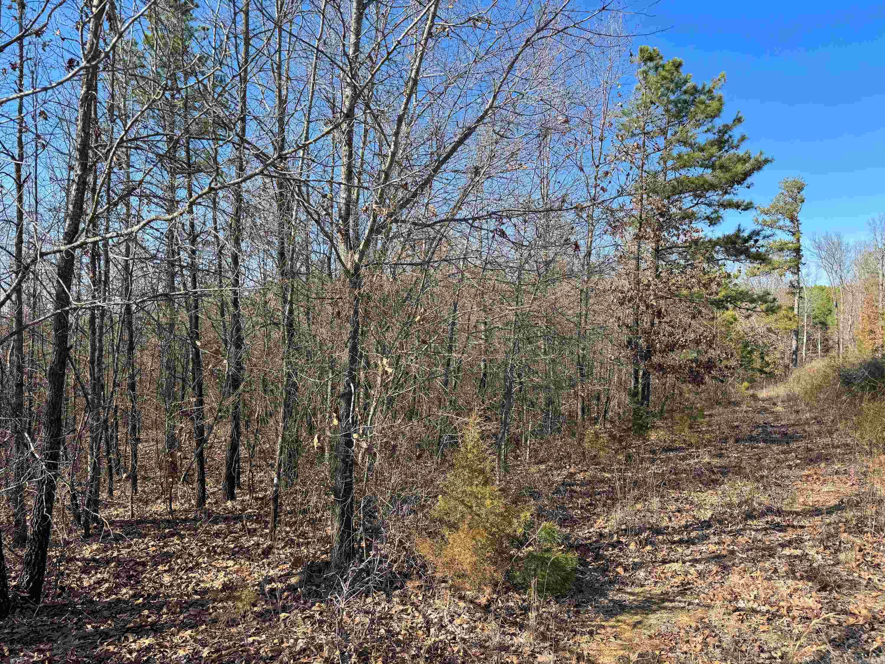 Metes & Bounds - Land