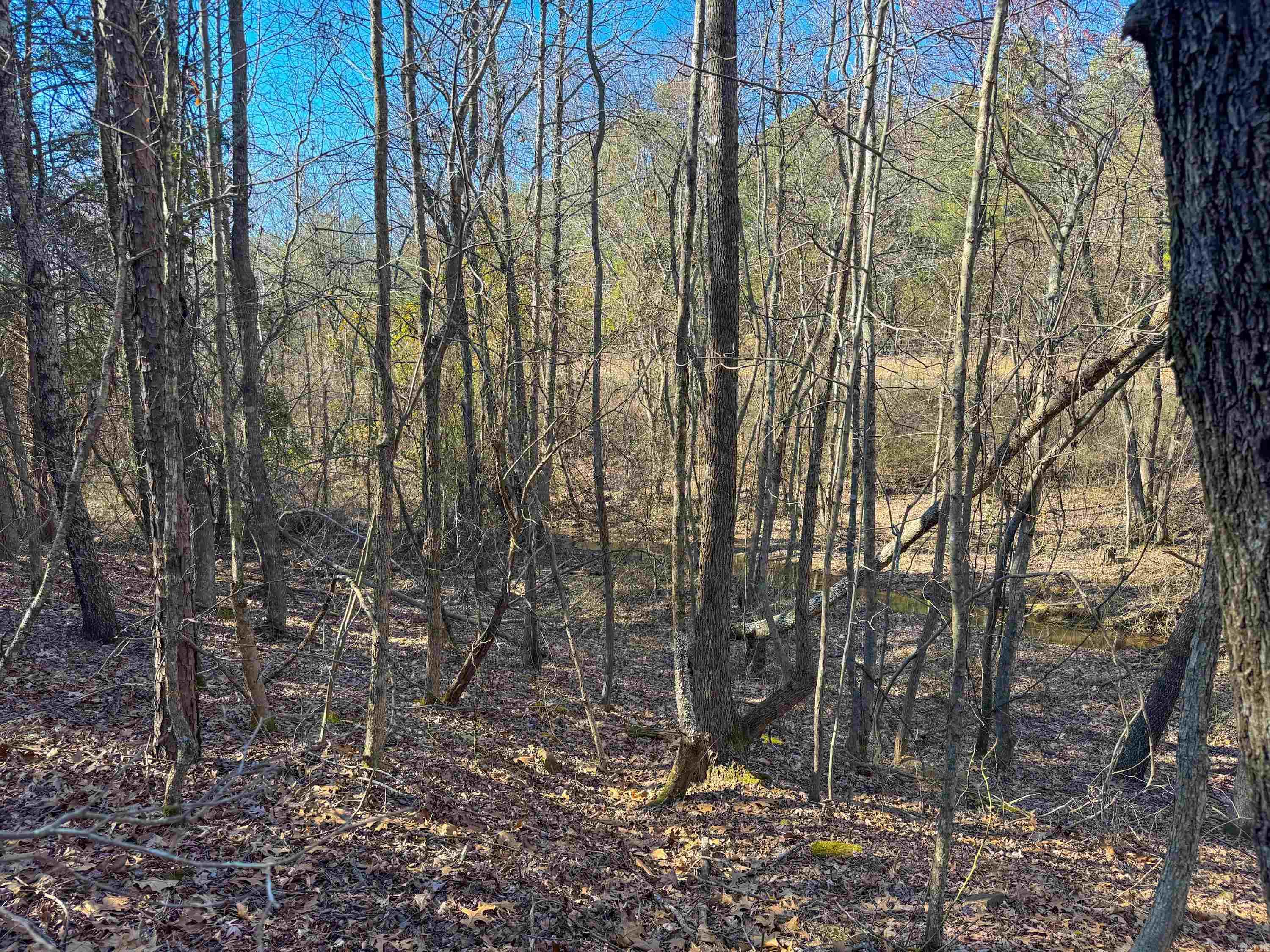 Metes & Bounds - Land