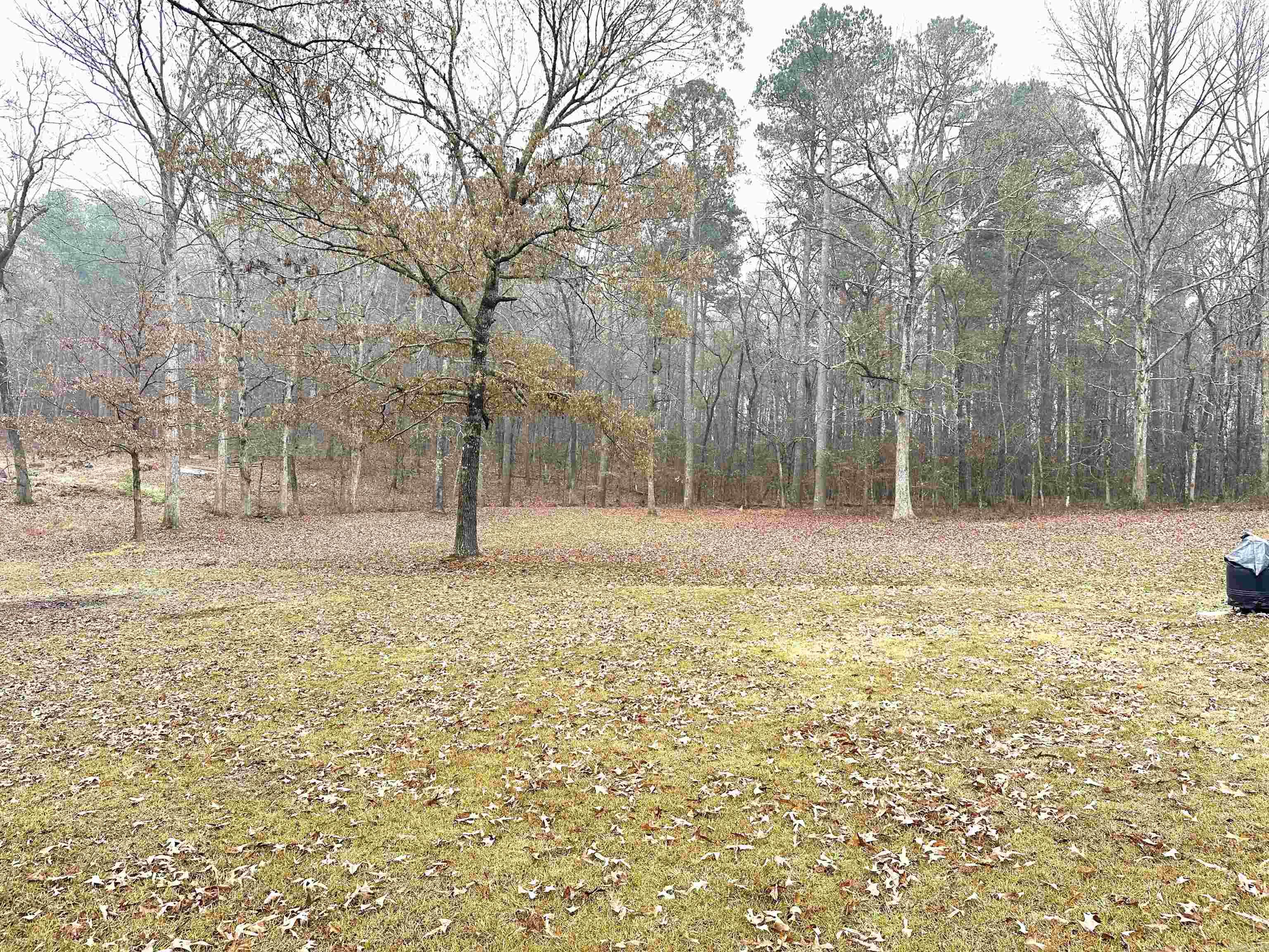 PARADISE VALLEY - Residential