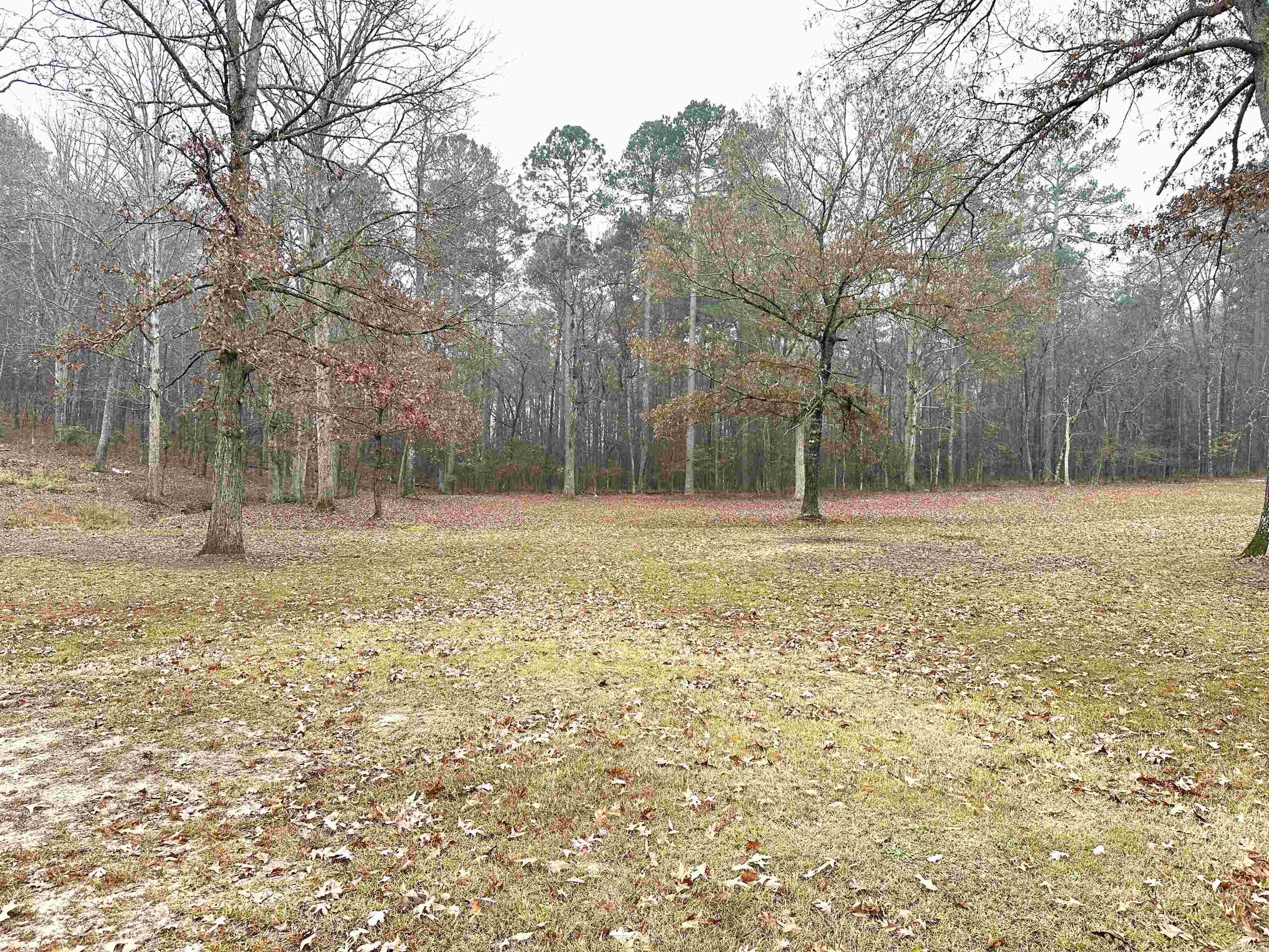 PARADISE VALLEY - Residential