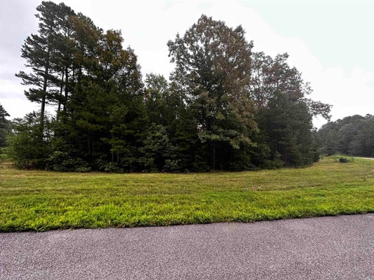 COBALT BAY DR, SHIRLEY, AR 72153 - Image 7a4ad2b212e74f342e97fba331ed7e8e/3440826224