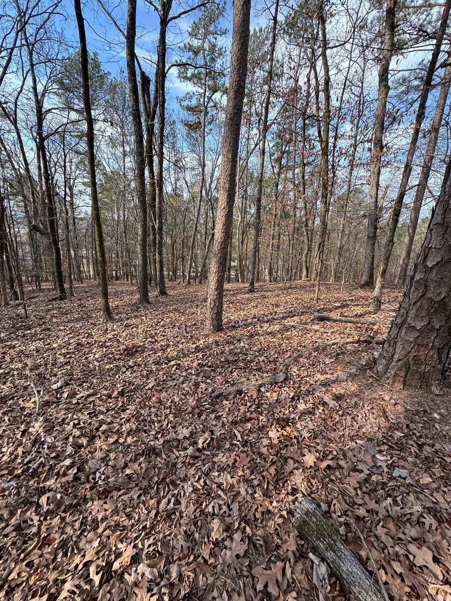 Build your dream home on top of this beautiful 5 acres and enjoy the peaceful country living but close to bypass near the city.