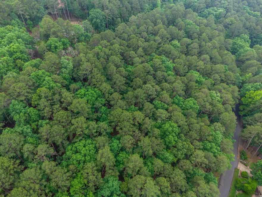 Perfect location for new home. This choice lot is an awesome opportunity an inviting  friends to your lot.  Location, location, location.