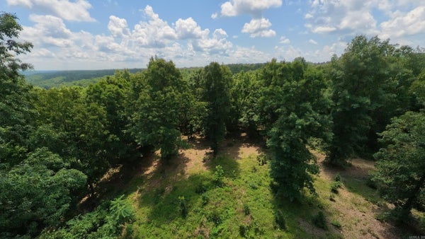 10824 UPPER JANES CREEK RD, RAVENDEN, AR 72459 - Image 7a609e57bdf5bb19e2345ec1c688f7bb/1912110484