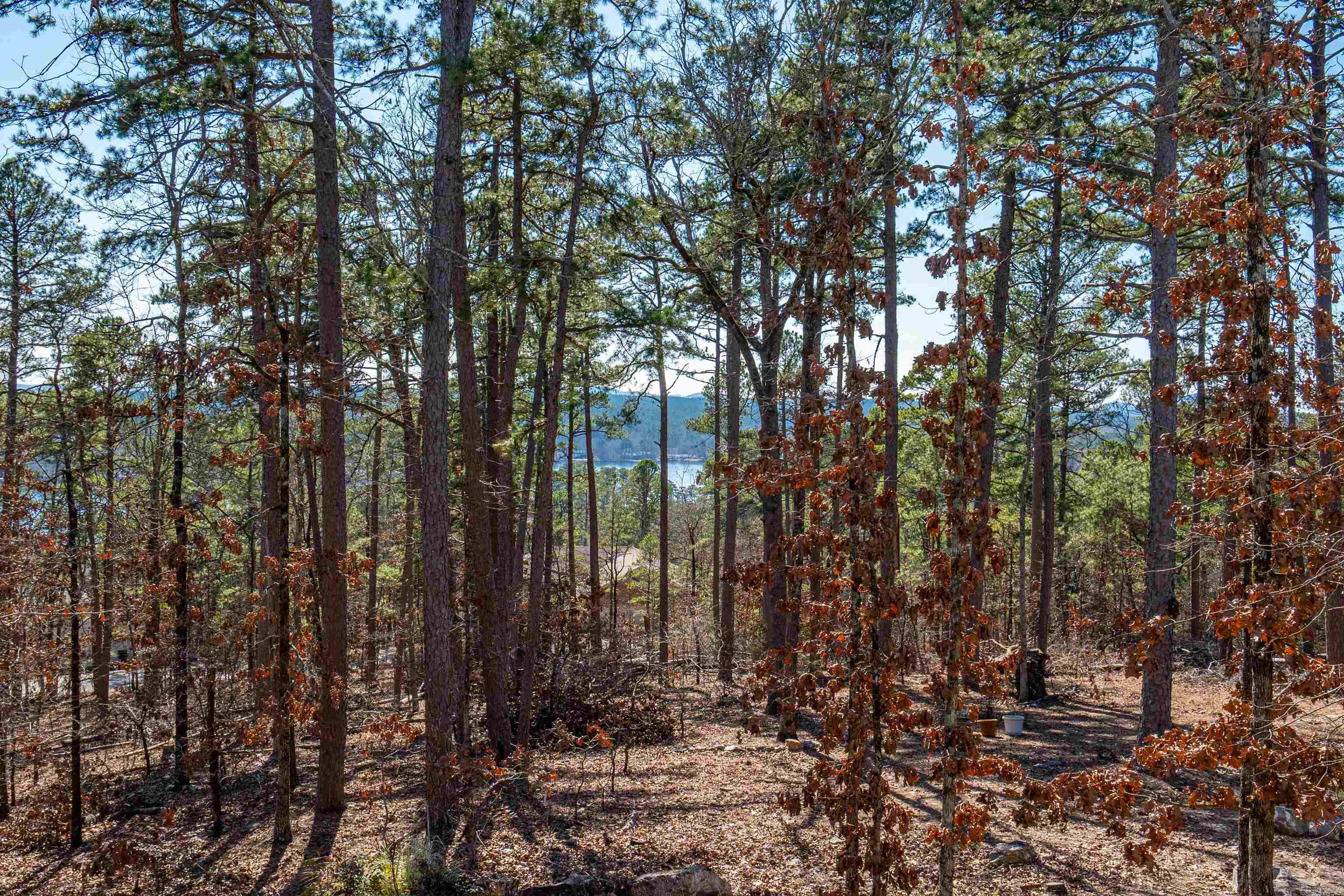 CARIBE - Residential