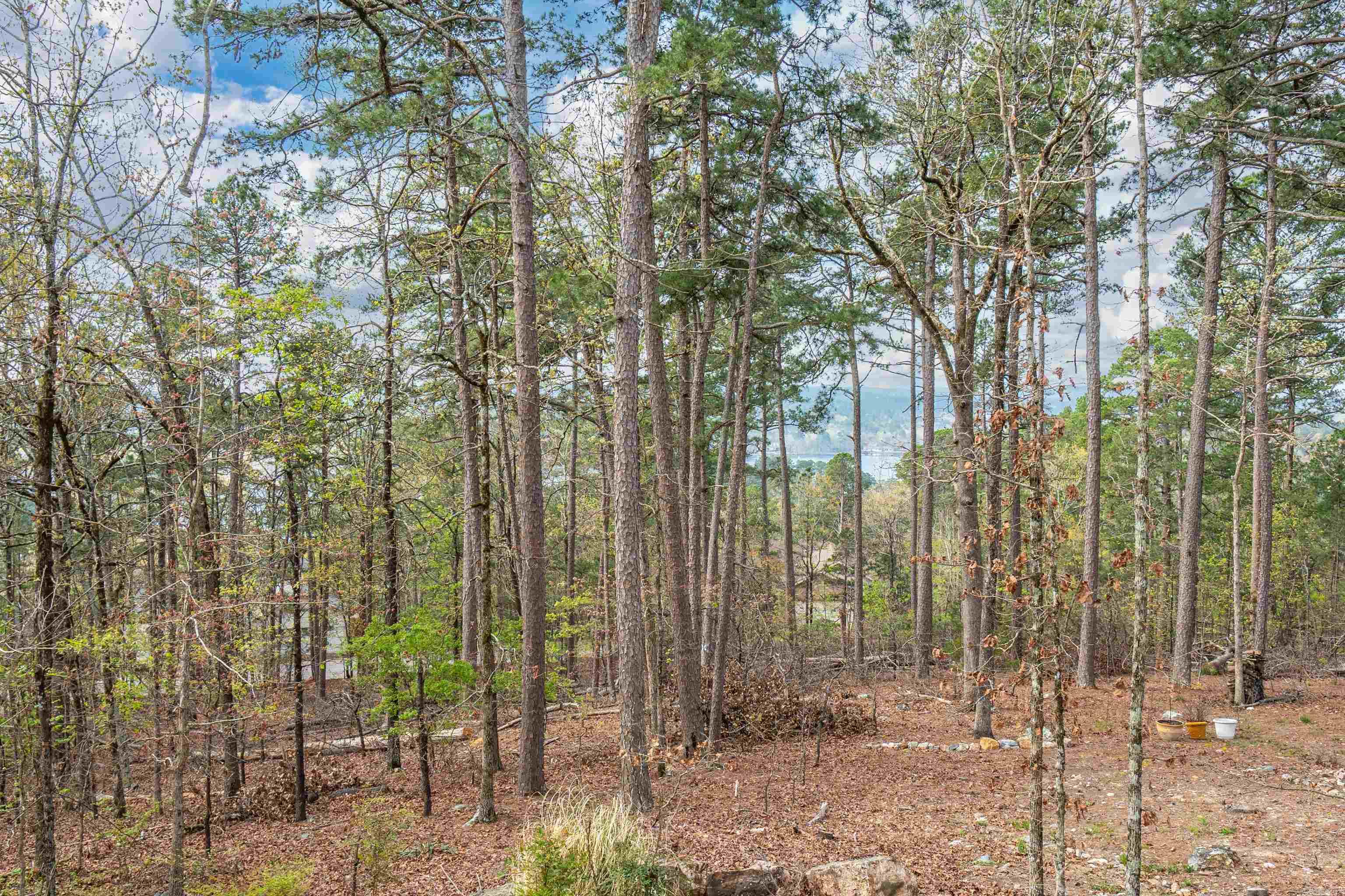 CARIBE - Residential