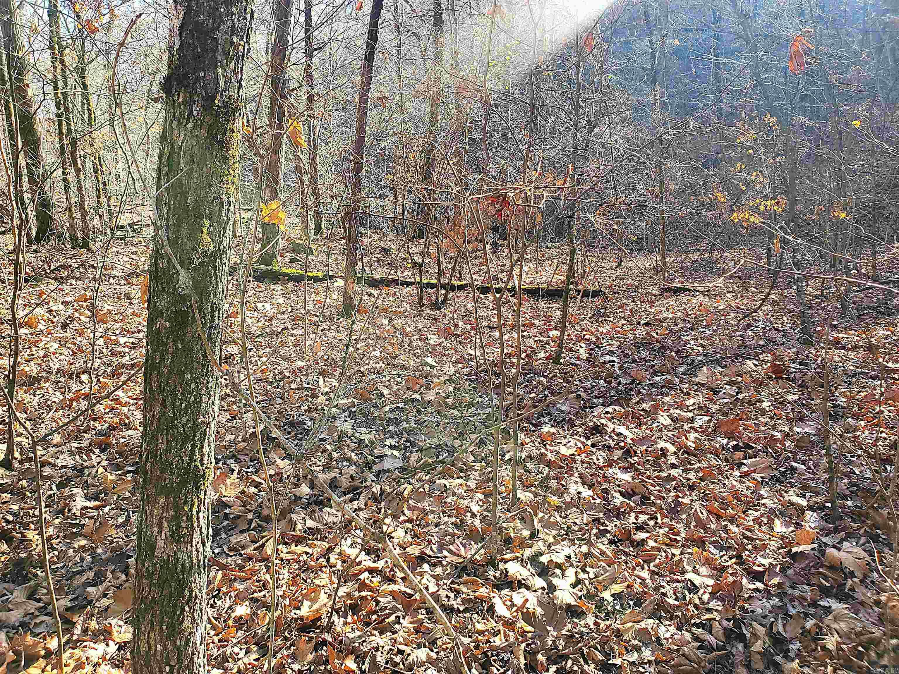 Not in Subdivision - Land